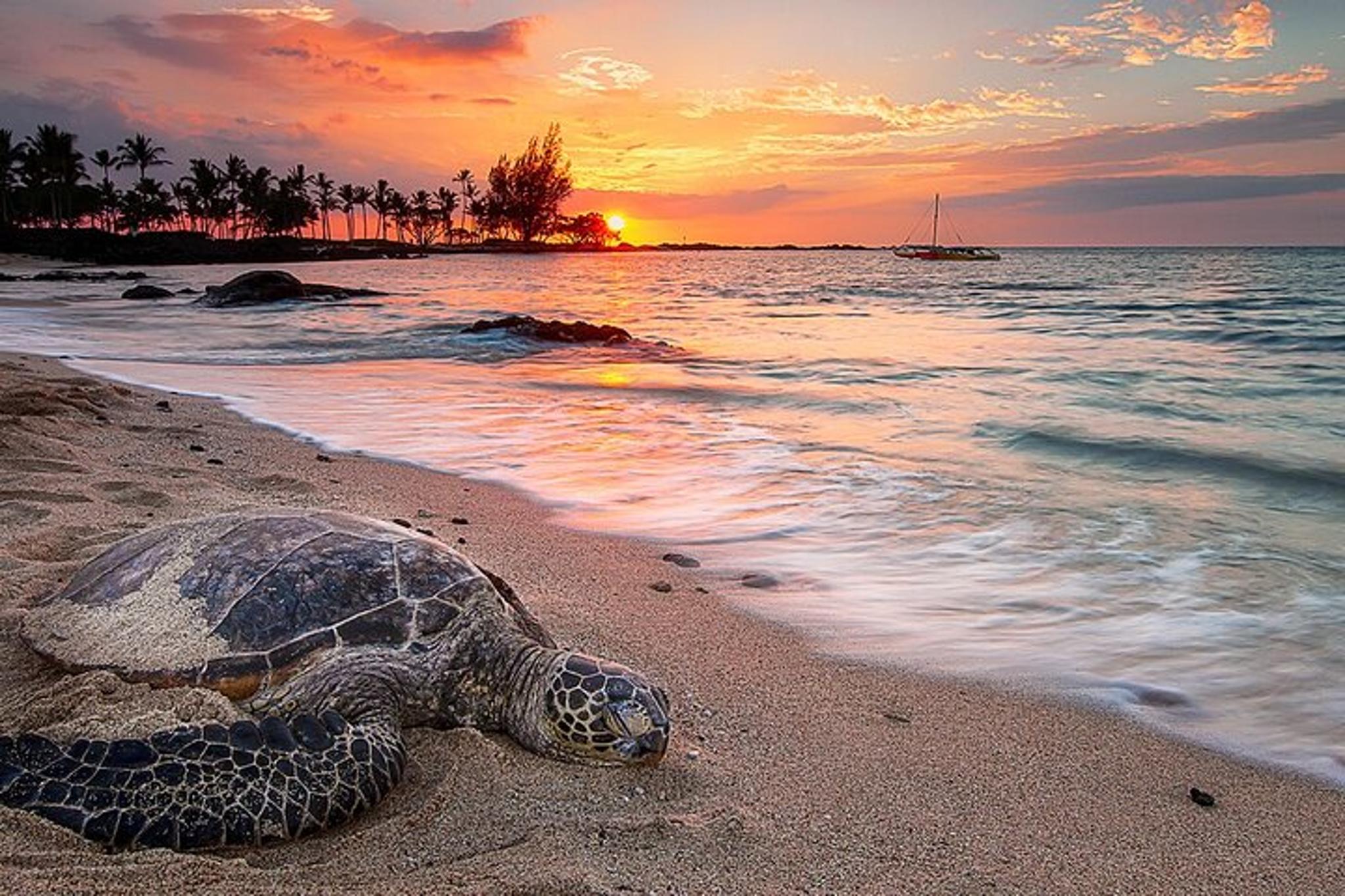 Honolulu Private Airport Transfer - Image 4