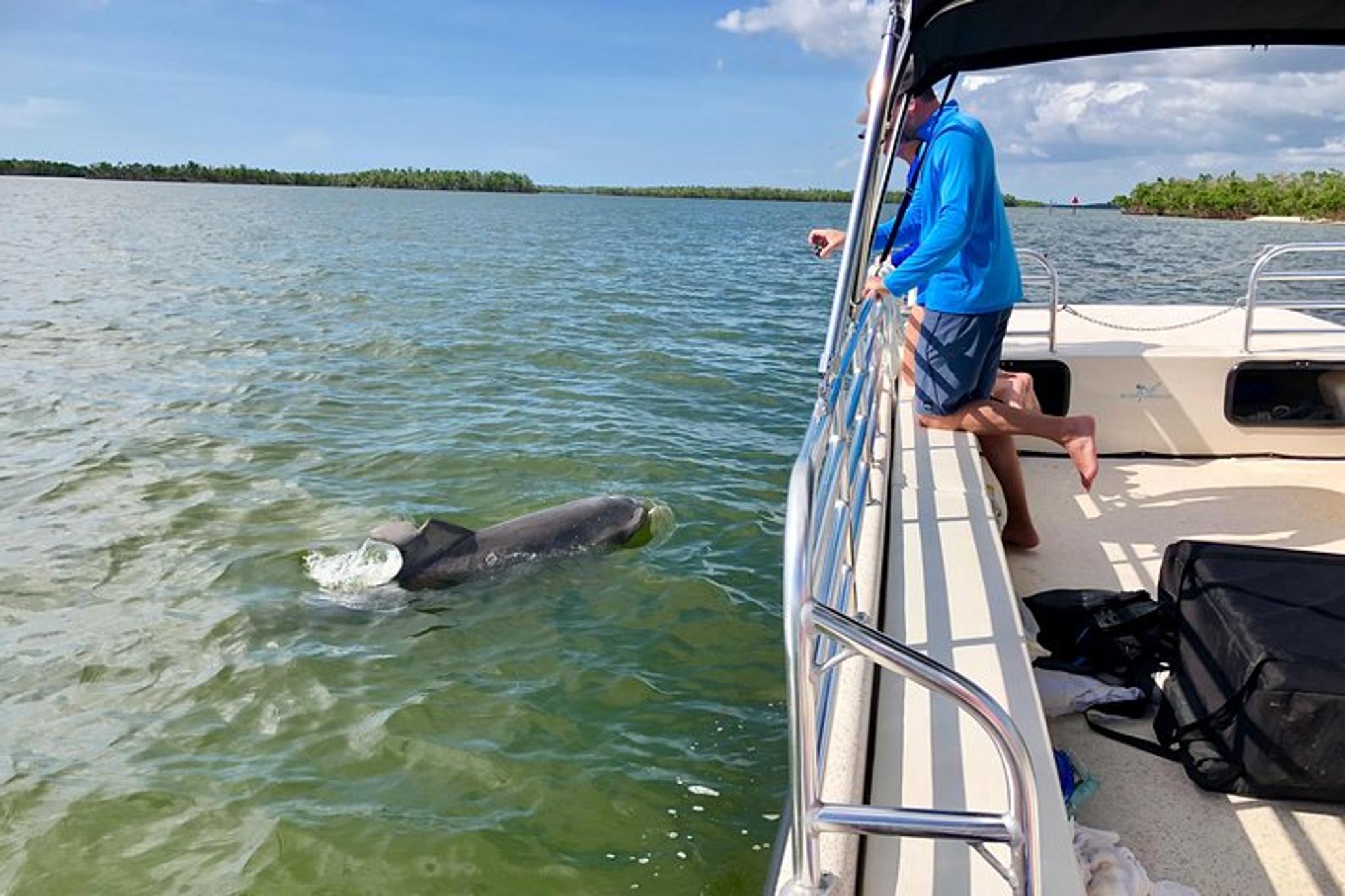 Marco Island Dolphin and Shelling Cruise 2.5 hr - Image 5