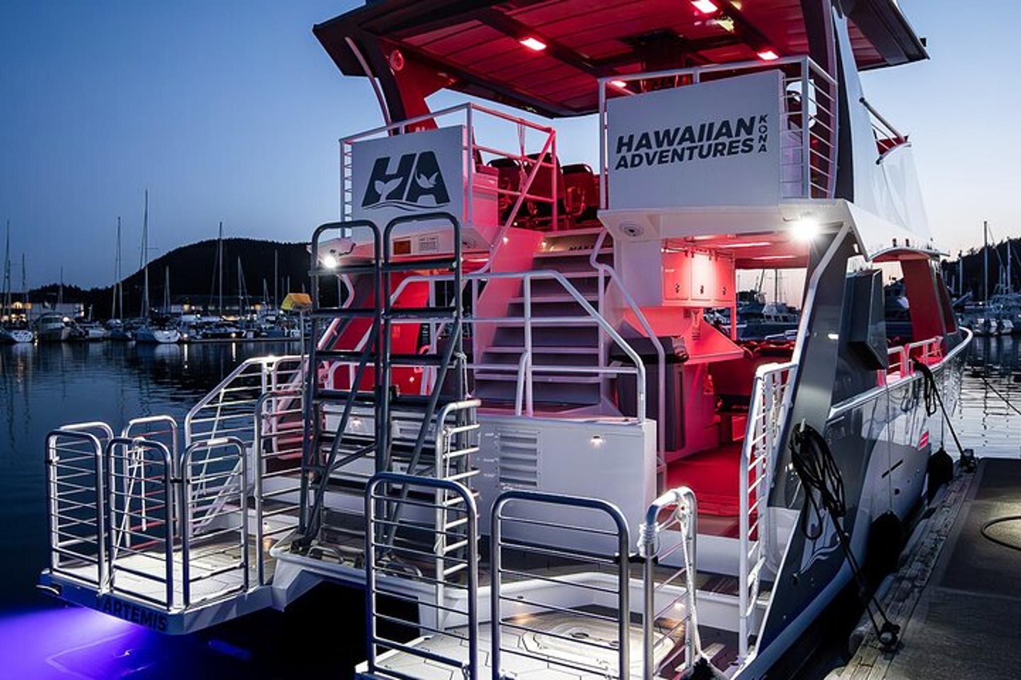 Kona Night Manta Snorkel Tour - Image 2