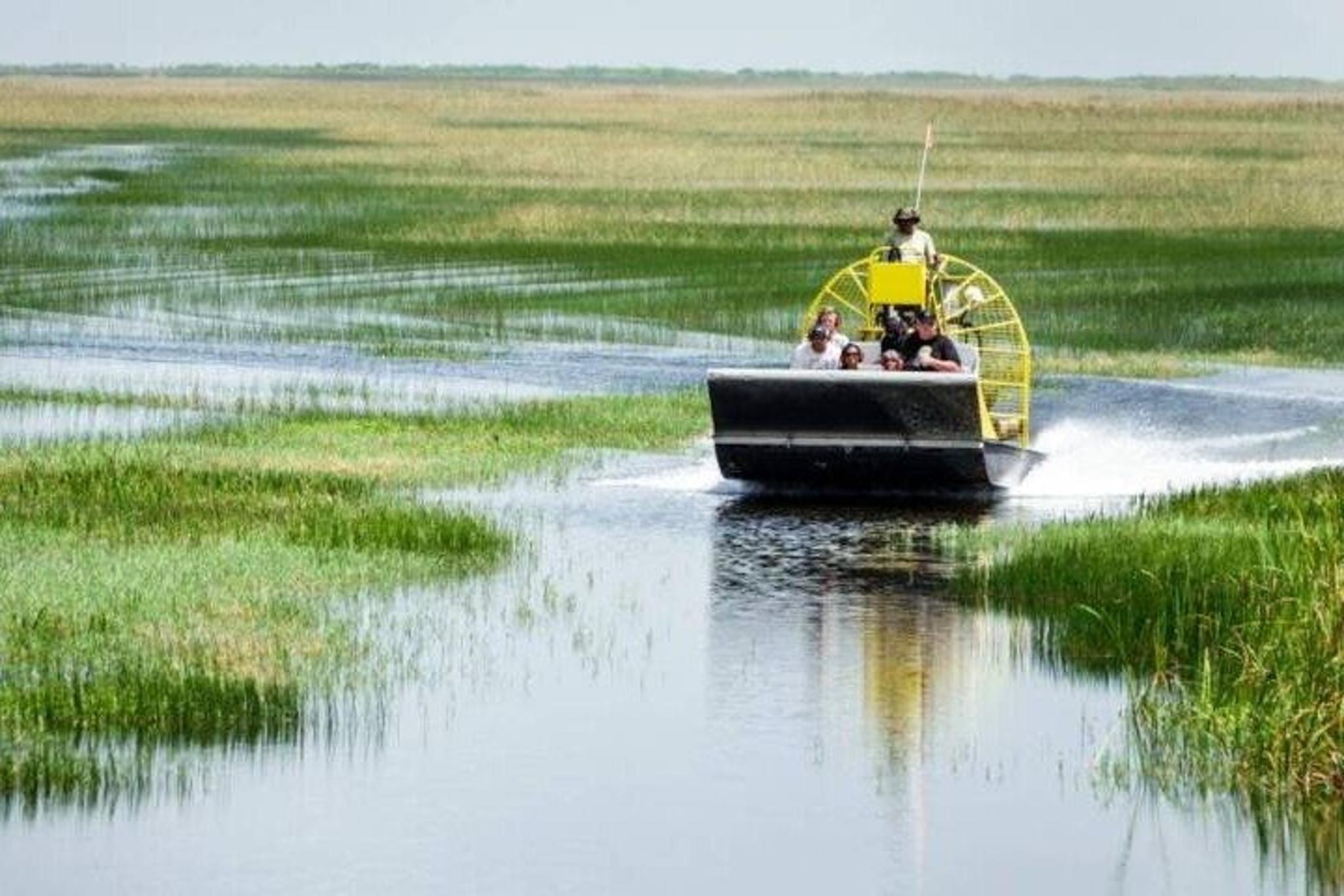 Everglades National Park Private Tour - Image 4