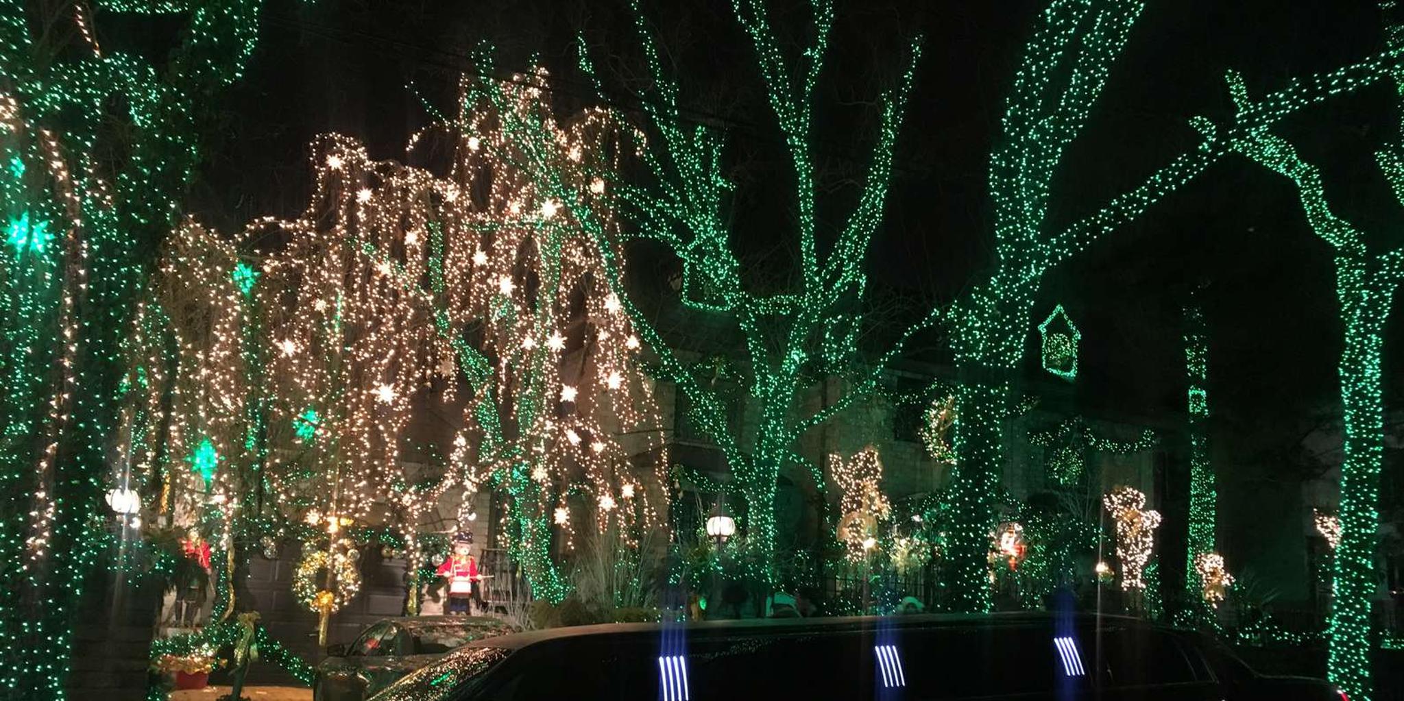 Brooklyn Christmas Limousine Tour - Image 2