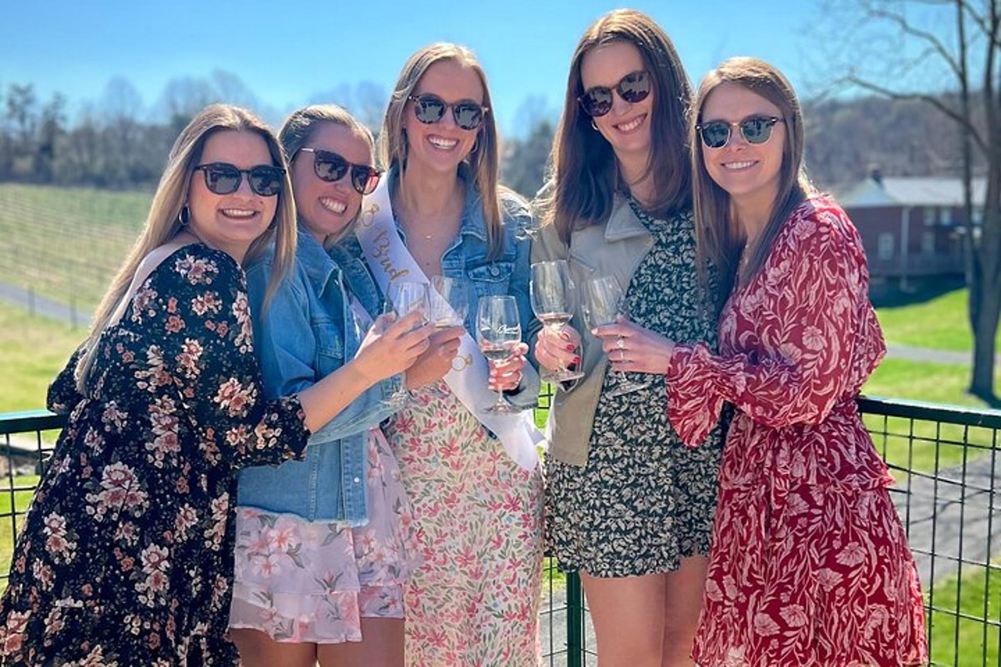 Virginia Wine Country Private Tour - Image 5
