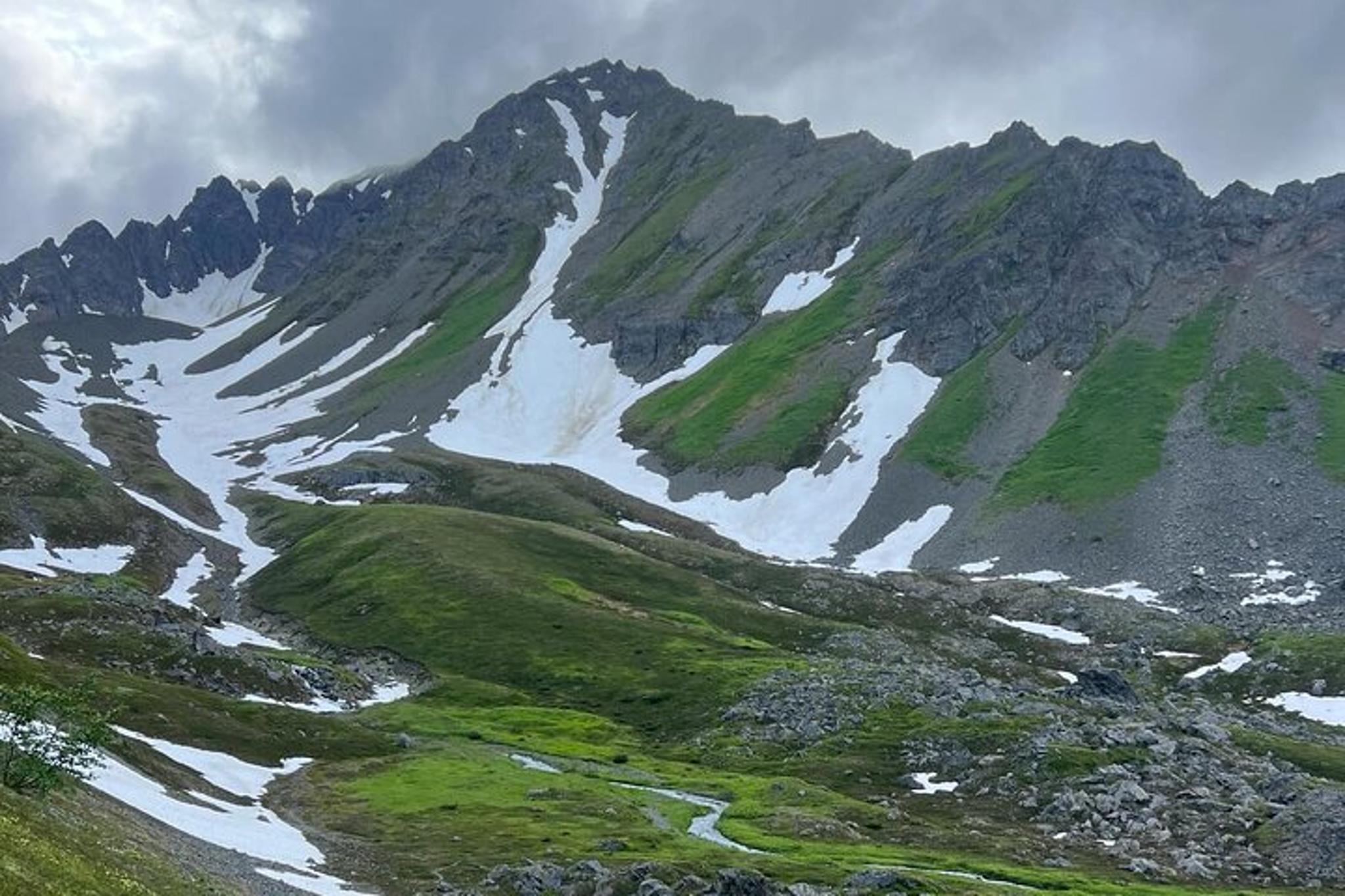 Seward Hiking Tour of Mount Marathon - Image 6