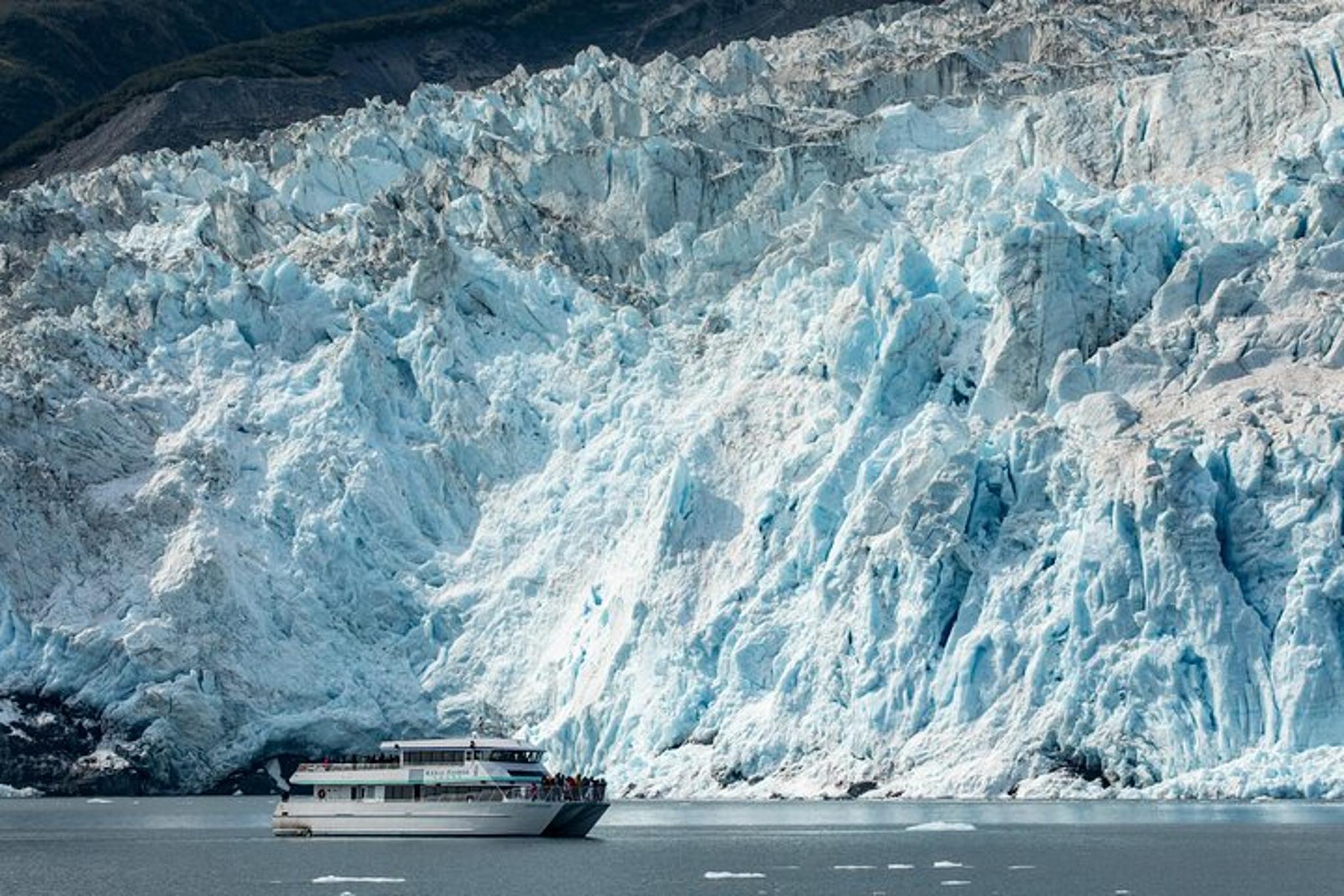 Seward Kenai Fjords National Park Cruise - Image 3