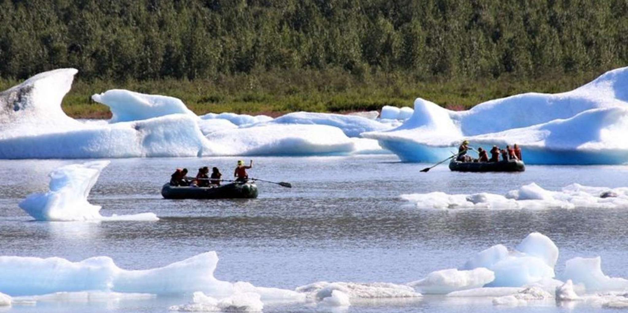 Girdwood Bears, Trains, and Icebergs Tour - Image 4
