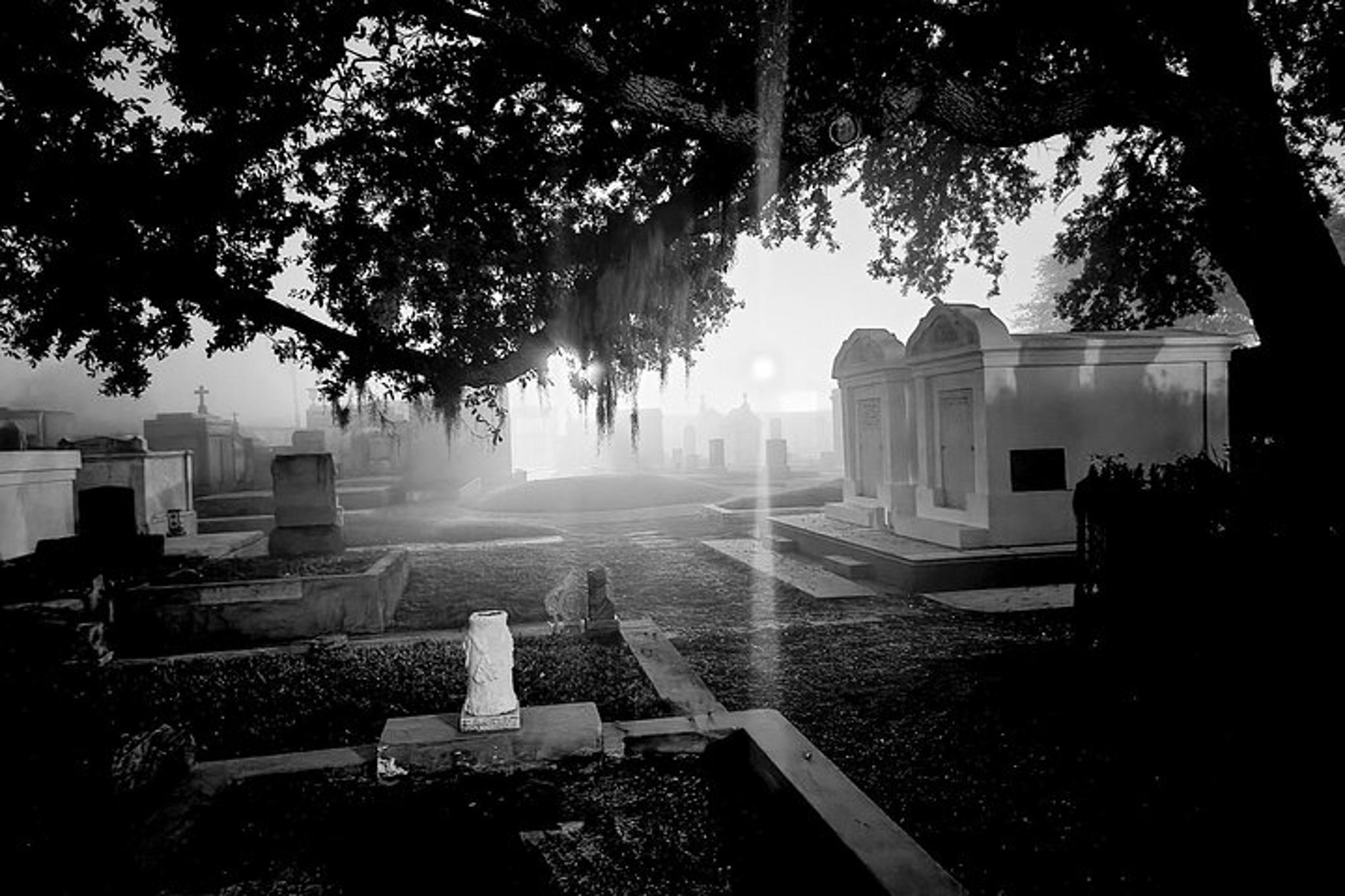 New Orleans Haunted City and Cemetery Bus Tour - Image 1
