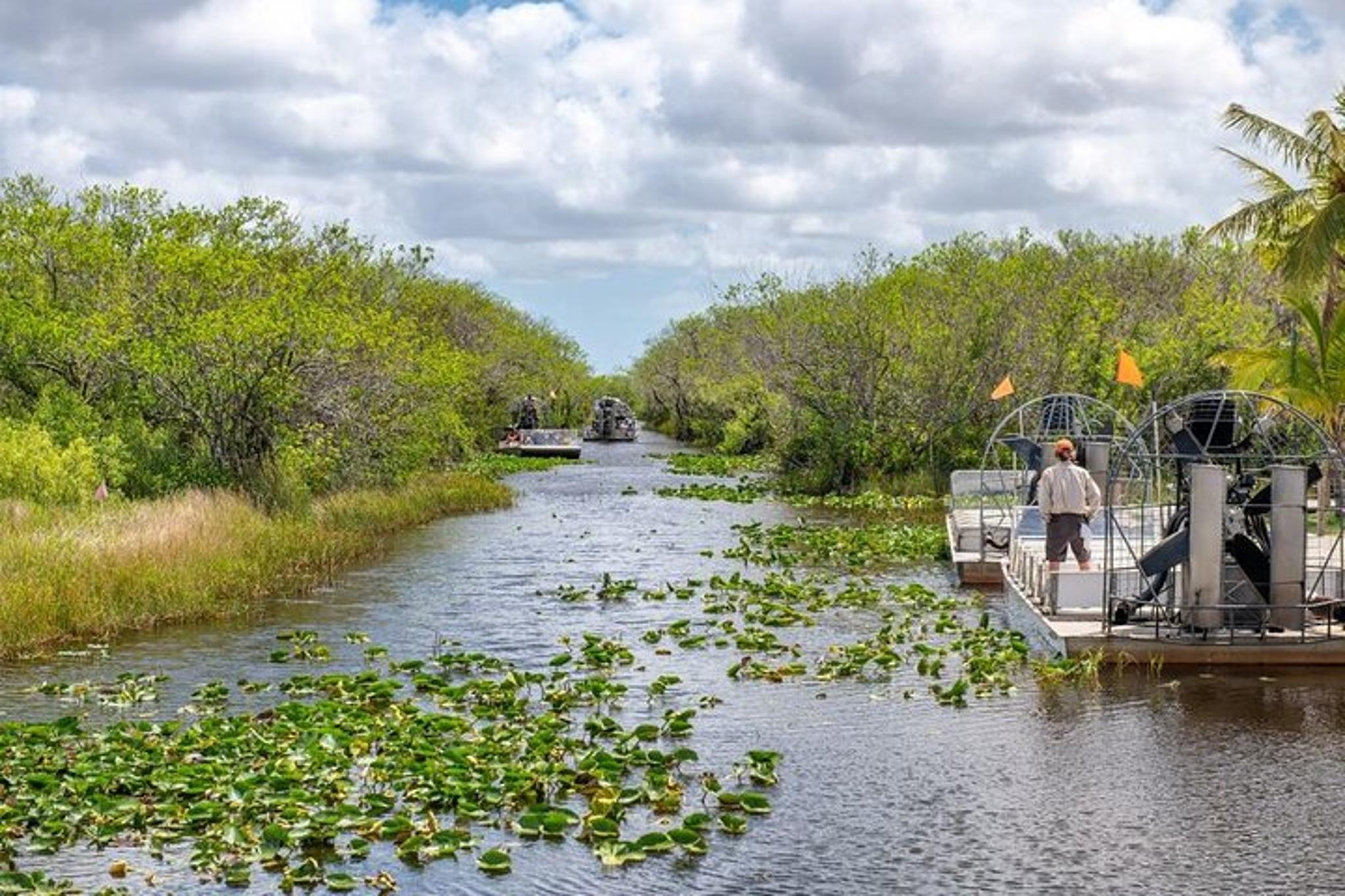 Everglades Airboat Tour - Image 3