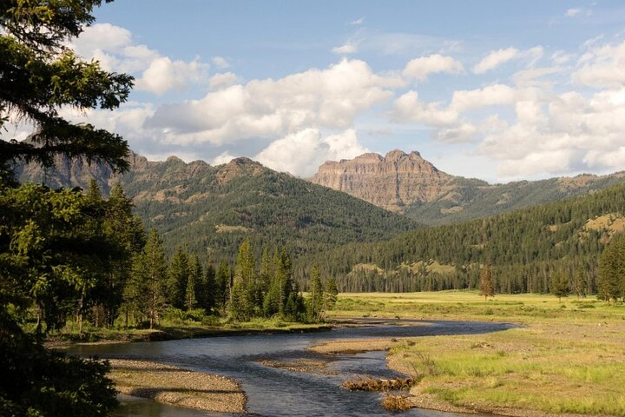 Bozeman Yellowstone Tour - Image 3