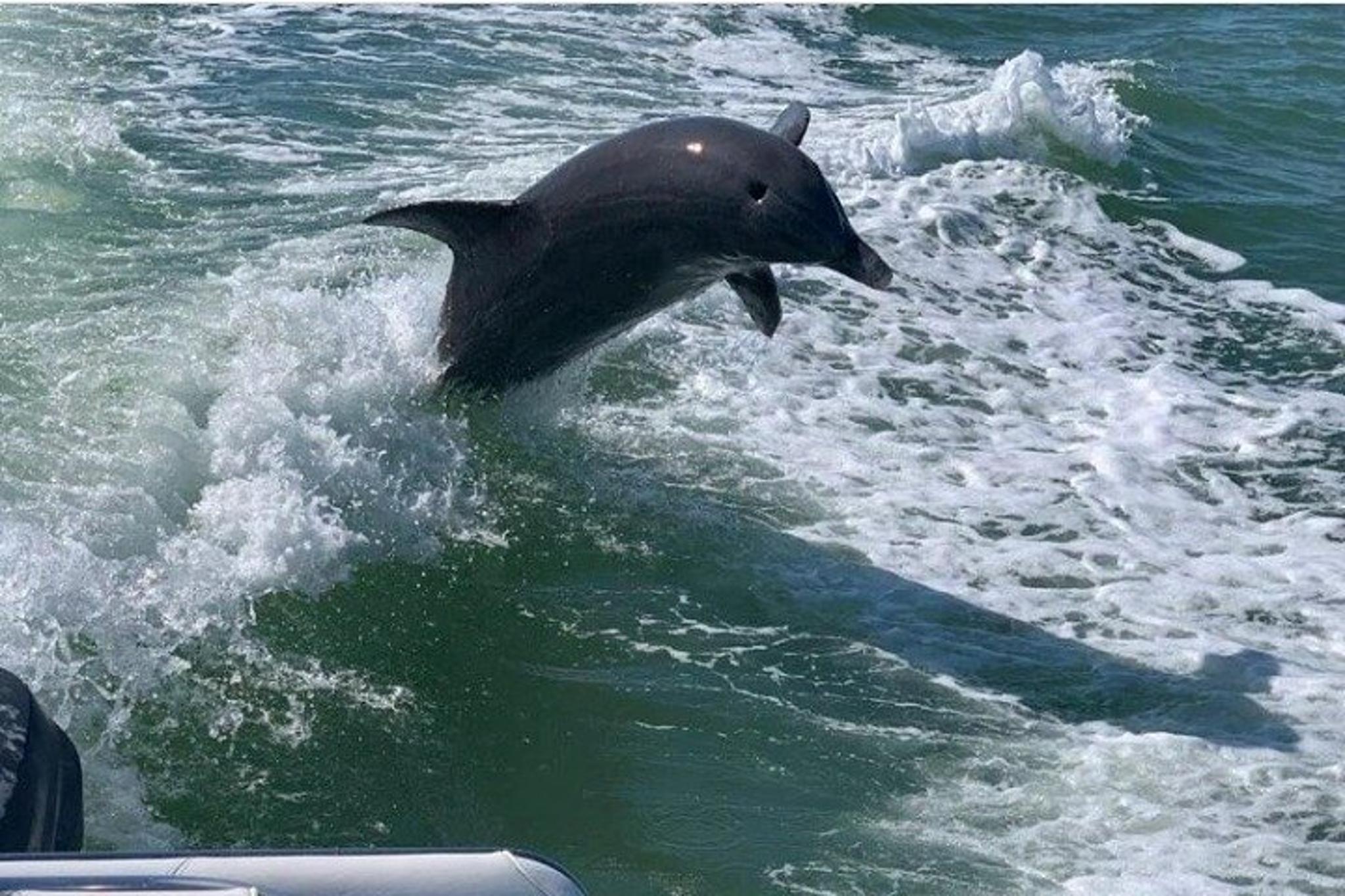 Clearwater Beach and Waterways Private Tour - Image 6