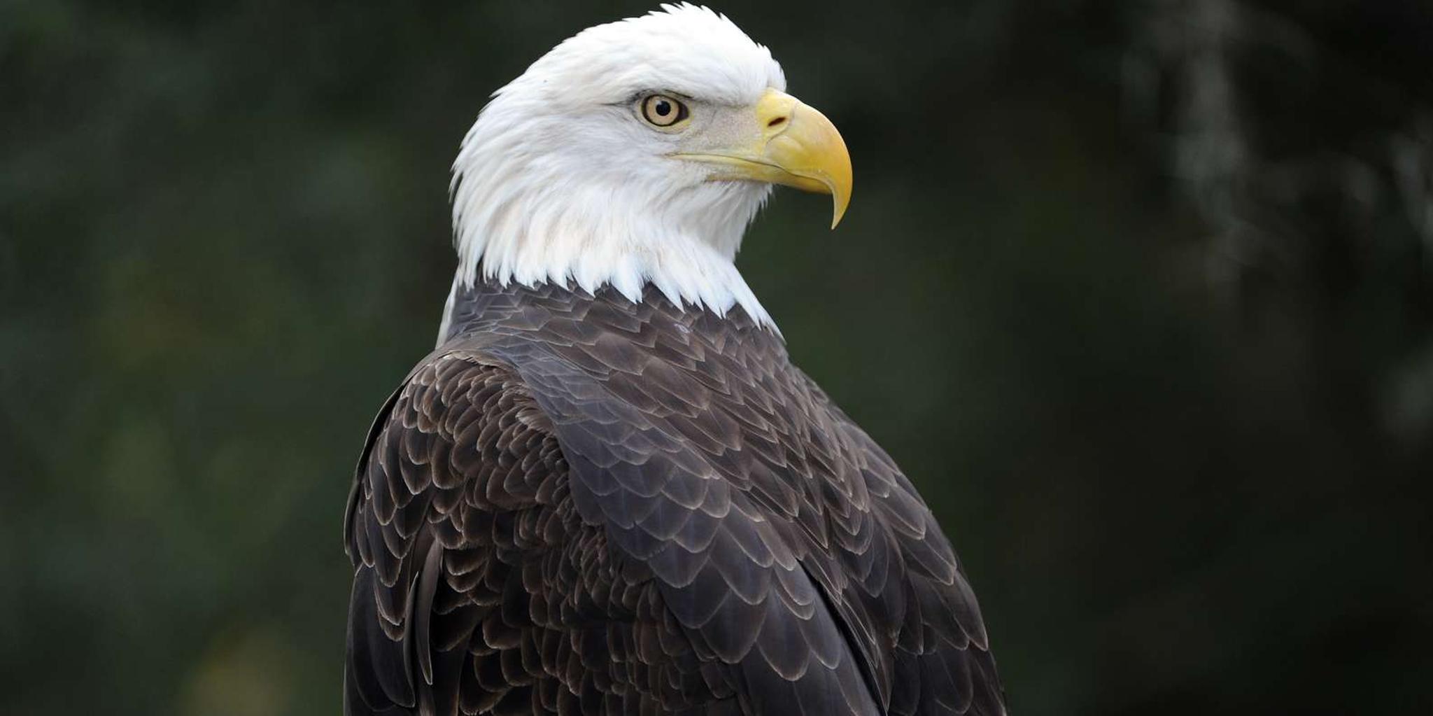 Miami Zoo Admission - Image 6