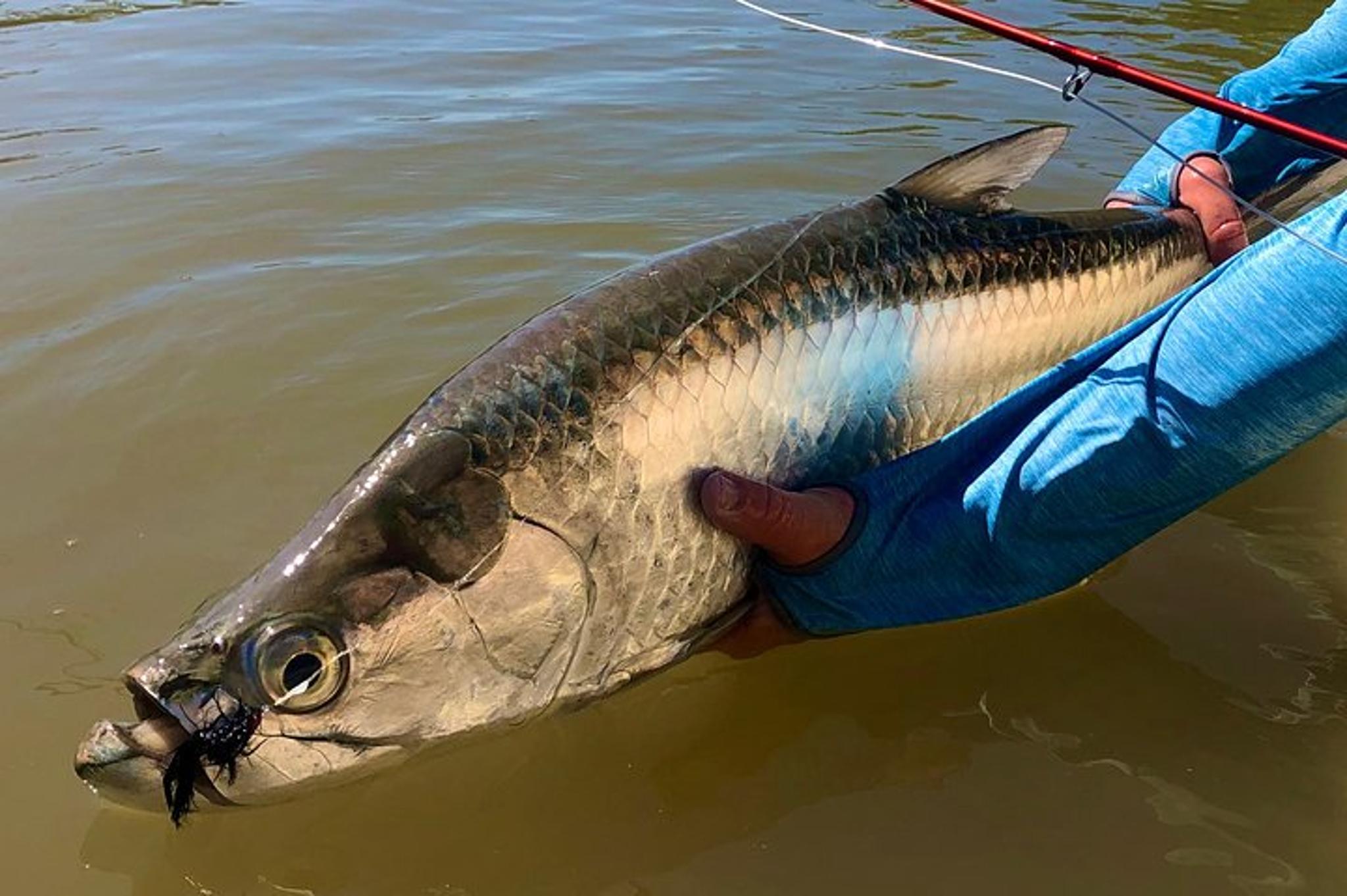 Islamorada Fishing Charter with Experienced Captain - Image 6