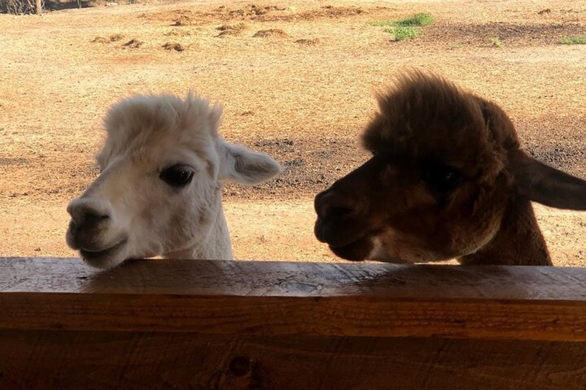 Black Hills & Badlands Tour 3-Day - Image 2