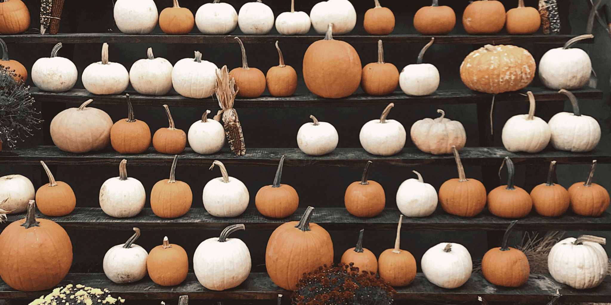 New York City Halloween Walking Tour in French - Image 5