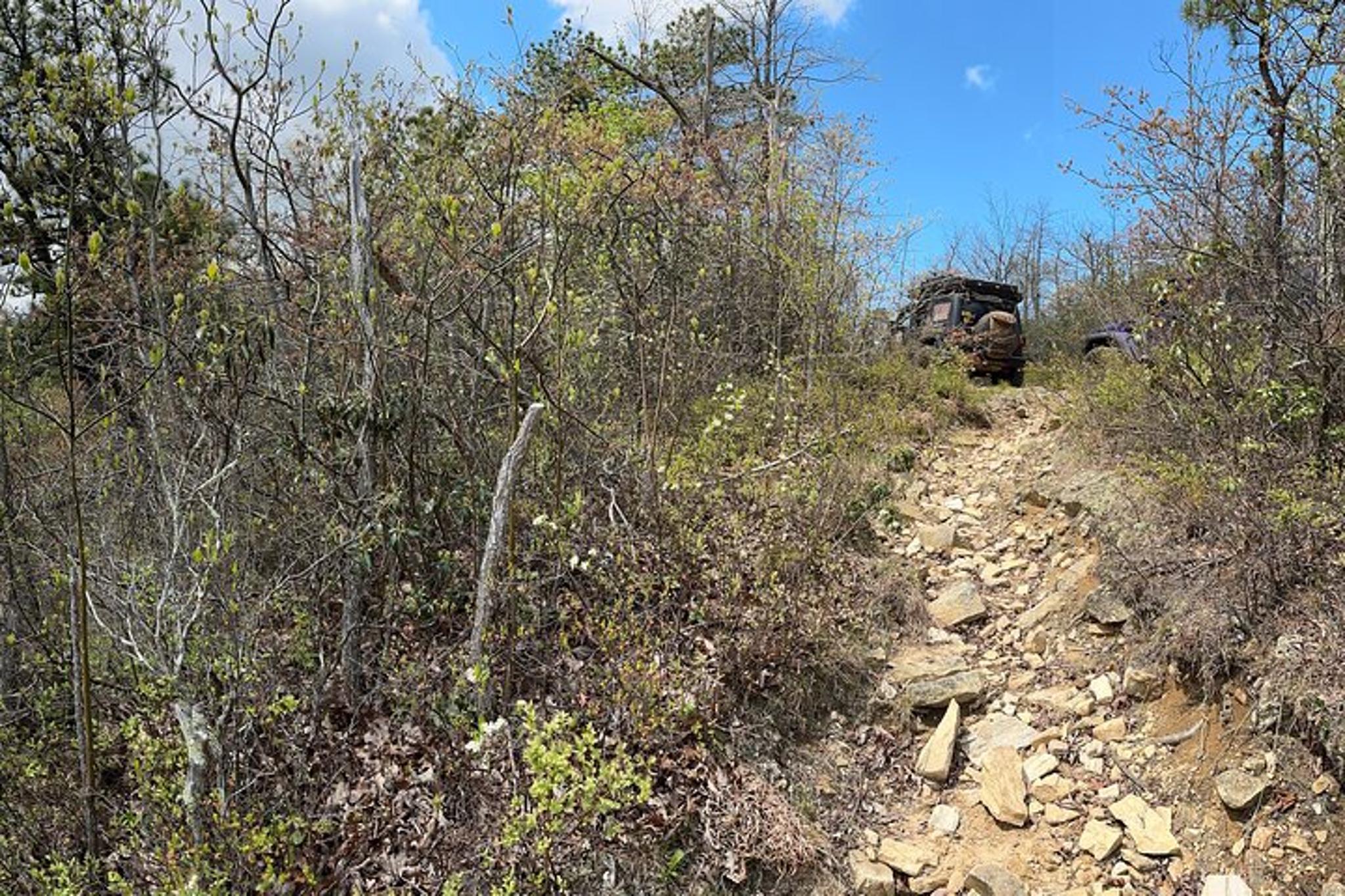 Charlottesville Off-Road Jeep Tour