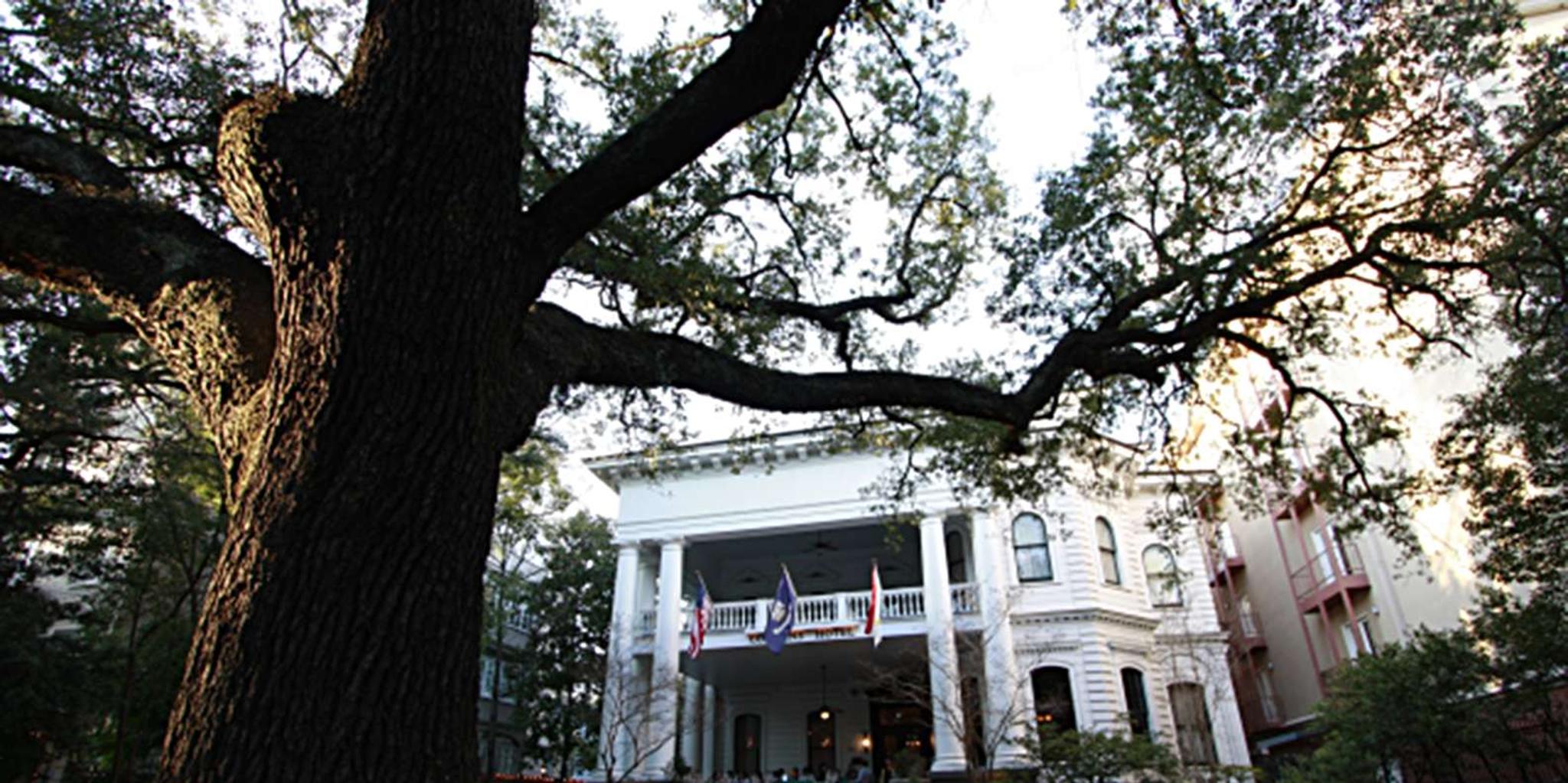 New Orleans Homes of the Rich and Famous Walking Tour - Image 6