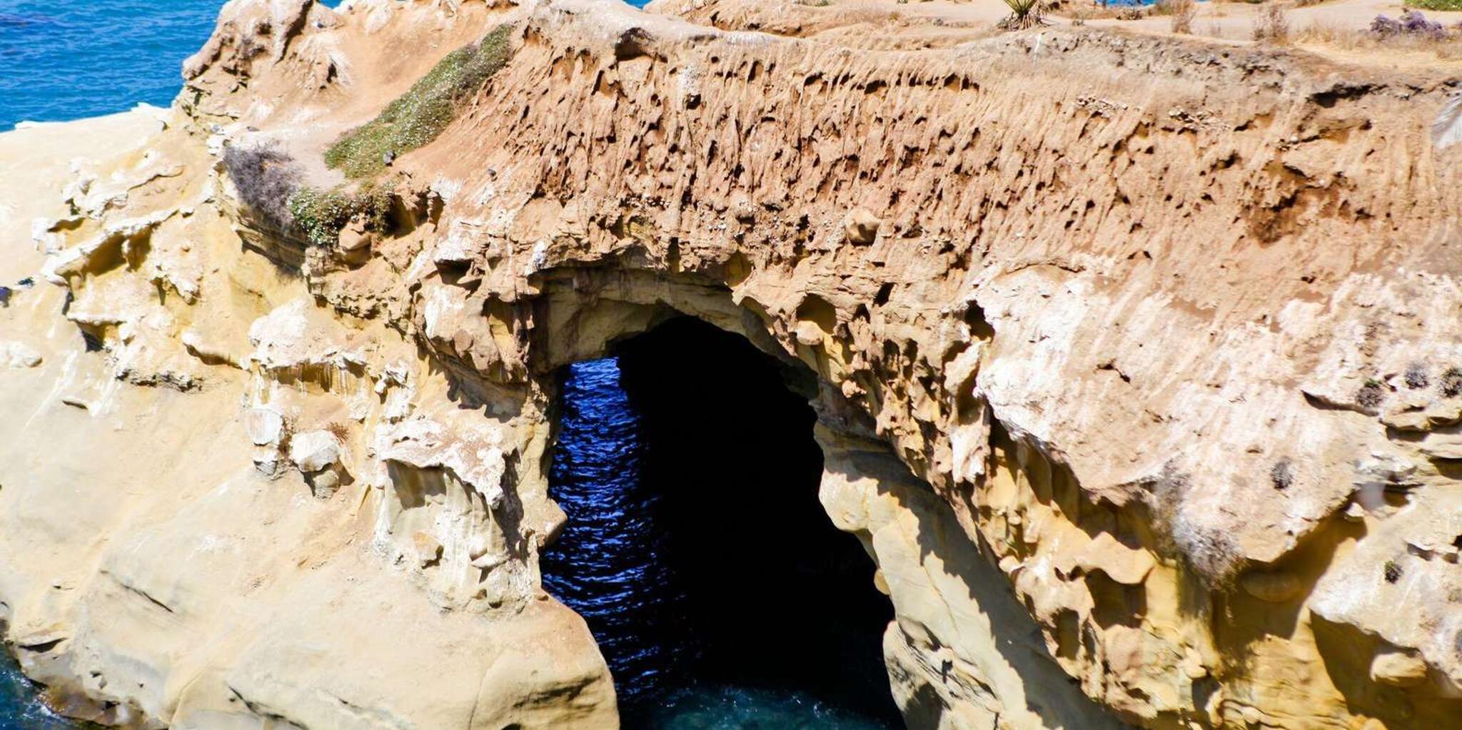 San Diego La Jolla Tour - Image 2