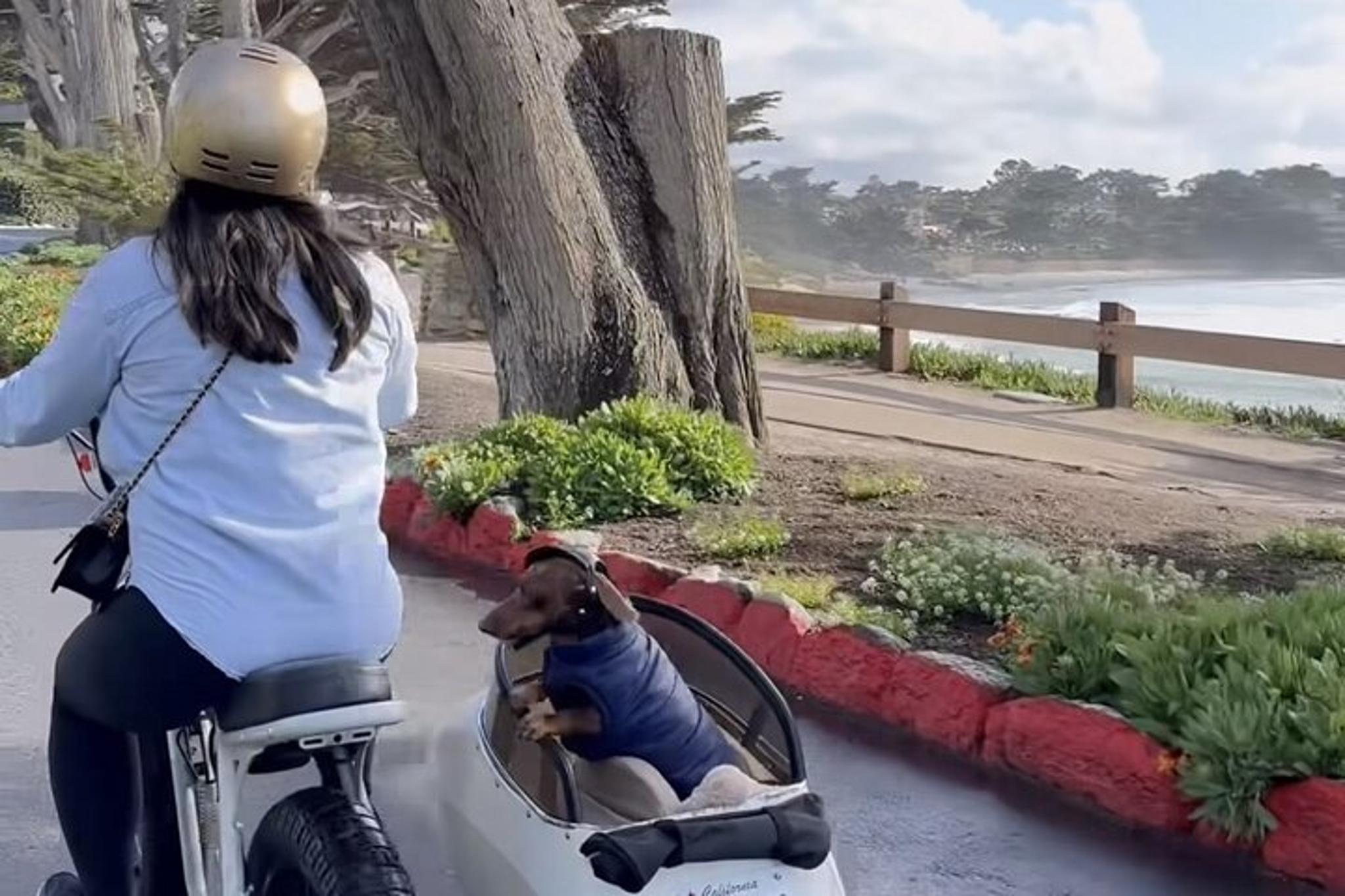 Carmel Dog-Friendly Electric Bike and Sidecar Tour - Image 5
