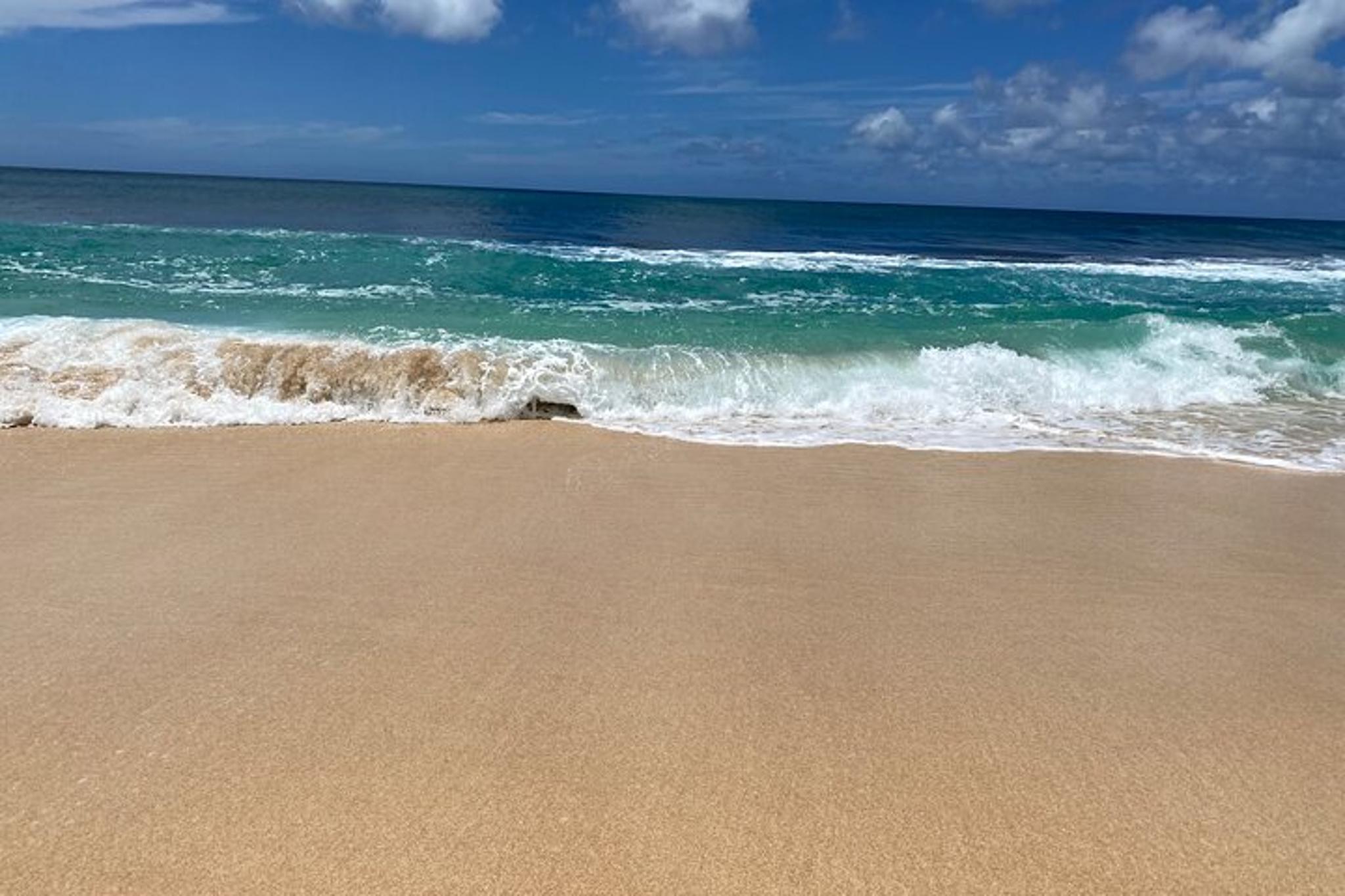 Oahu Island North Shore Small Group Tour - Image 6