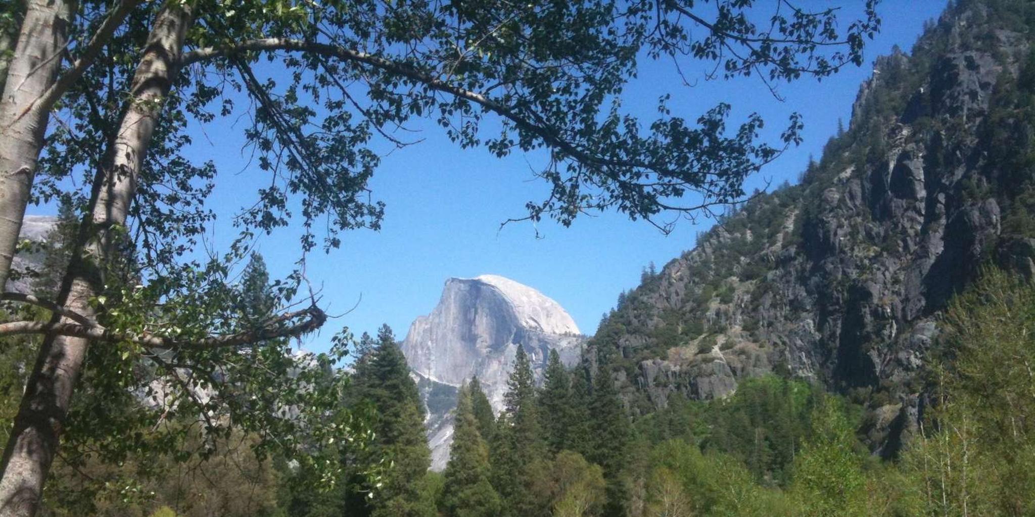 San Francisco Sightseeing Flex Pass - Image 6