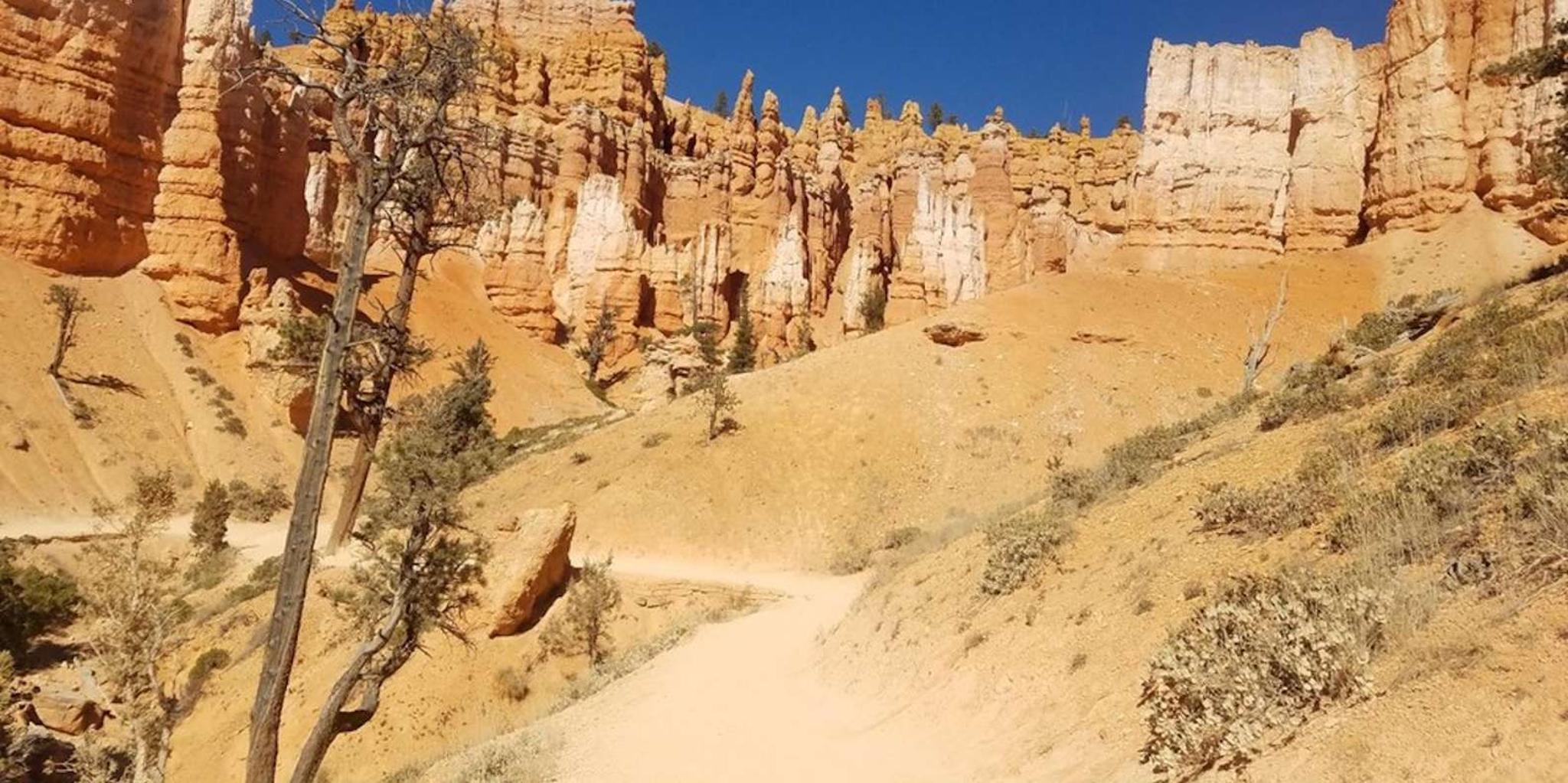 Las Vegas Zion and Bryce Canyon Day Tour - Image 6