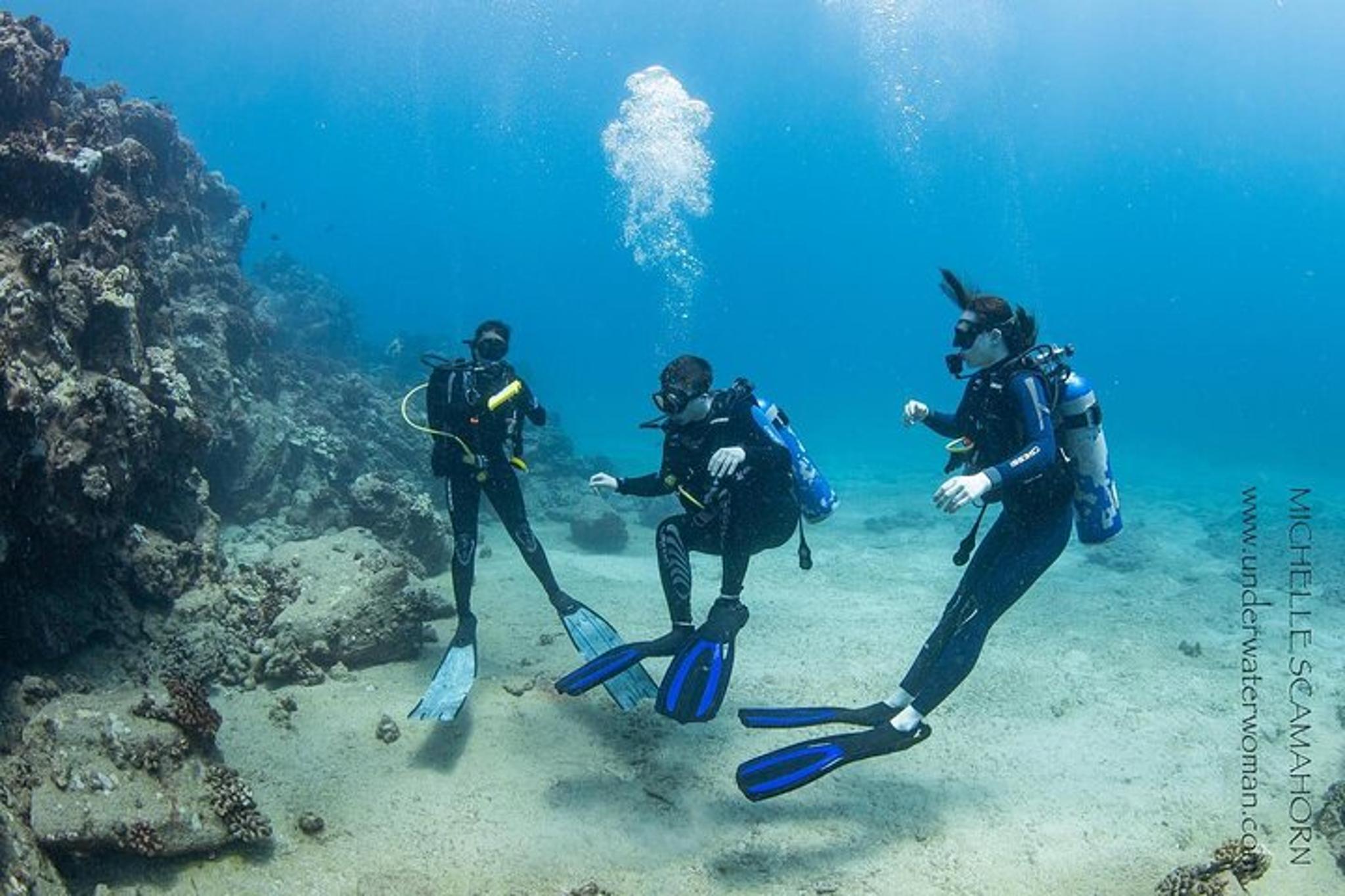Kaua’i Scuba Diving with Sea Turtles 4 hr