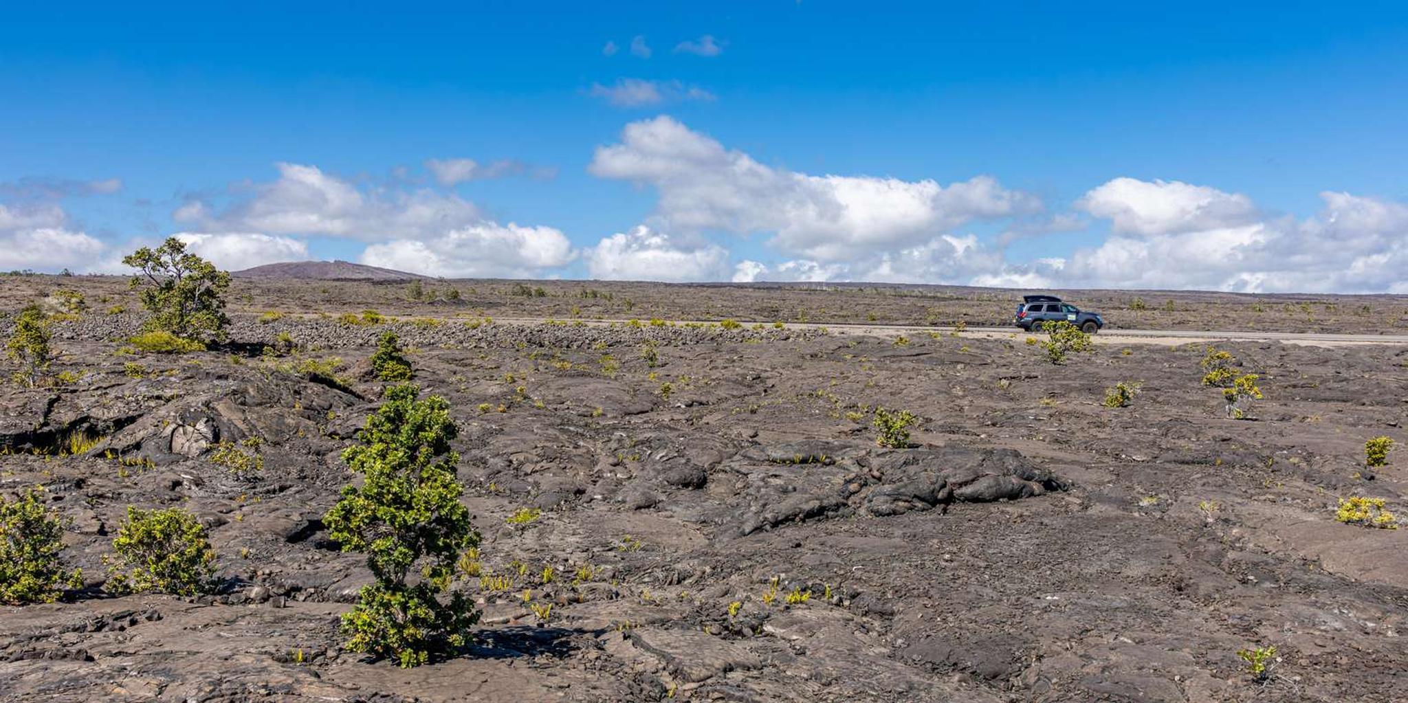 Kailua-Kona Volcanoes and Black-Sand Beach Tour - Image 4