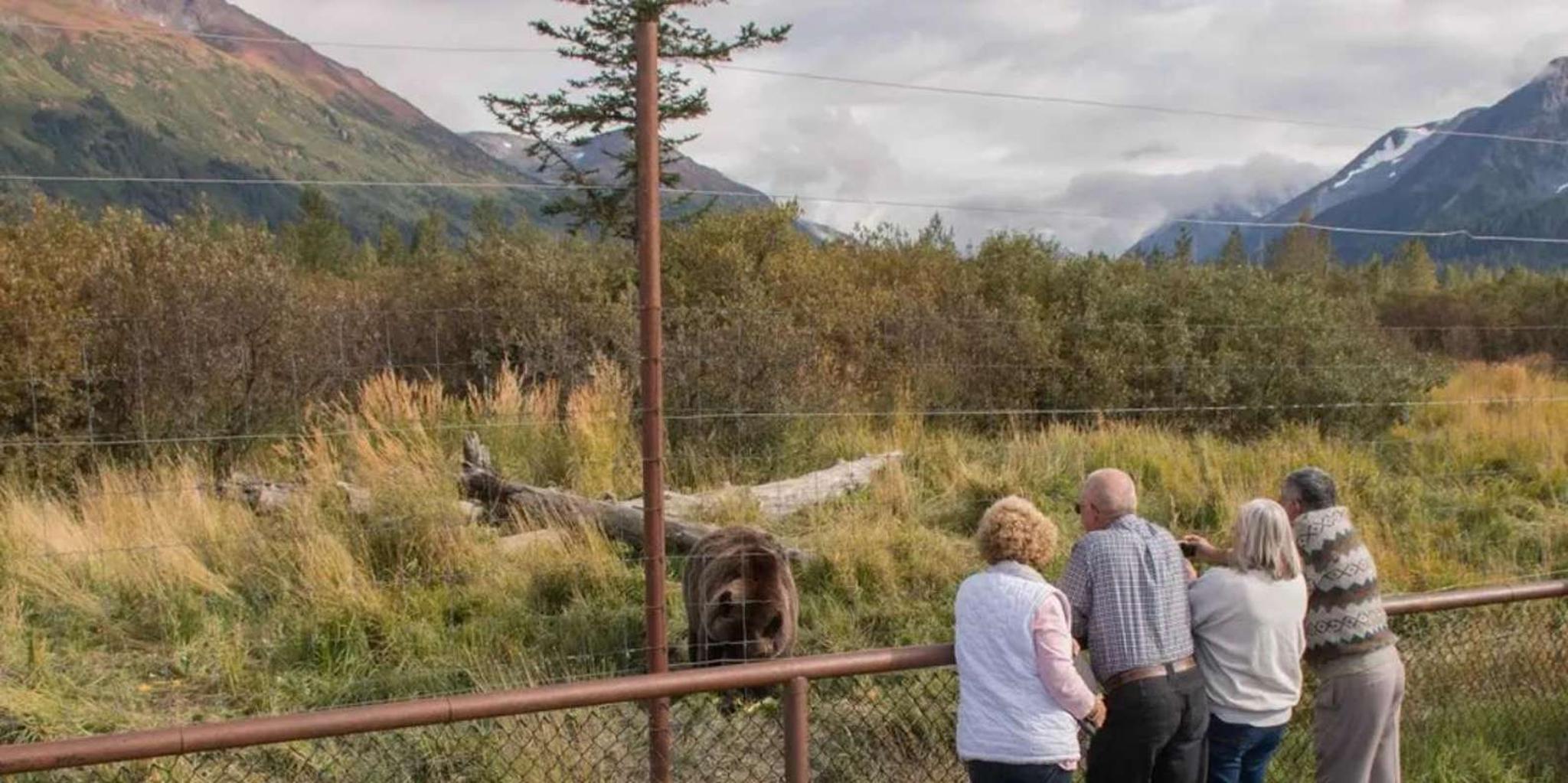 Anchorage Alaska Wildlife Tour with Hotel Pickup 4 hr