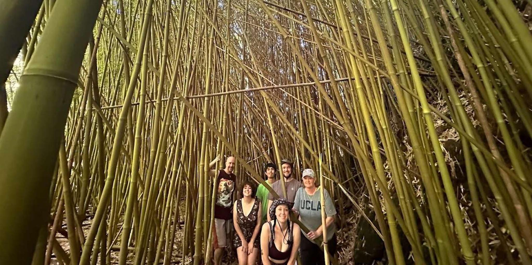Lahaina Road to Hana Private Tour