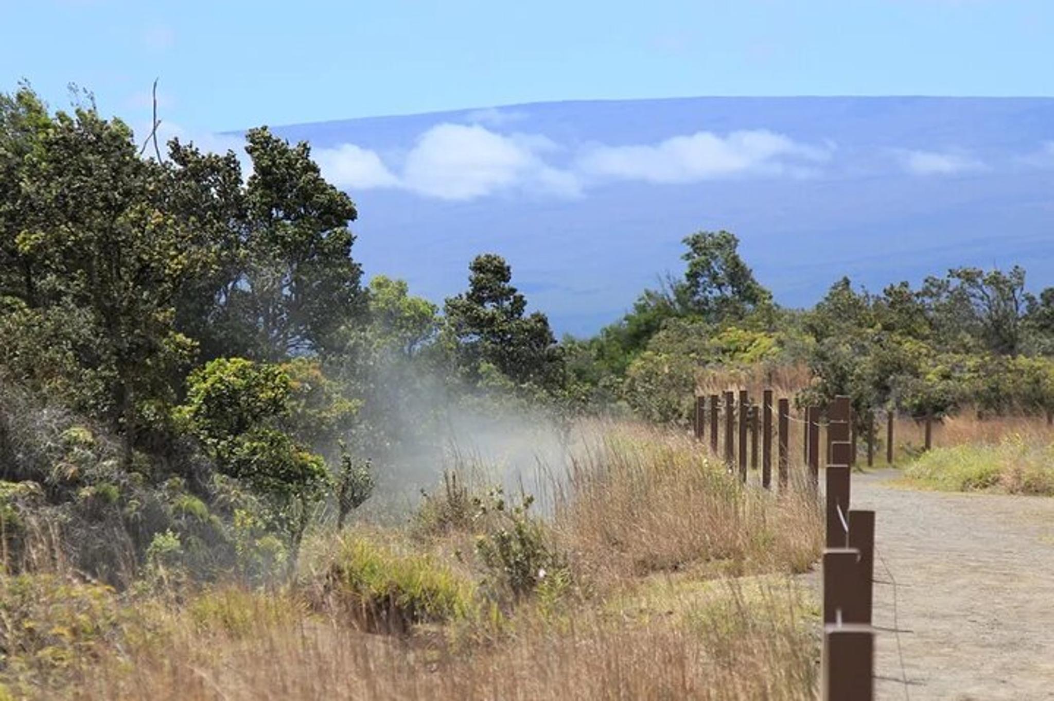 Hilo Volcanoes National Park Tour - Image 5