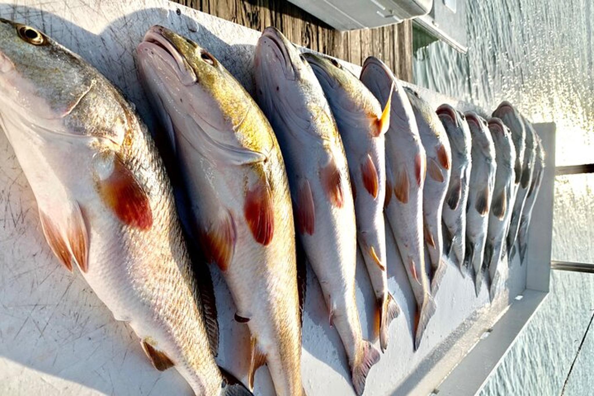 South Padre Bay Fishing Trip for Two - Image 4