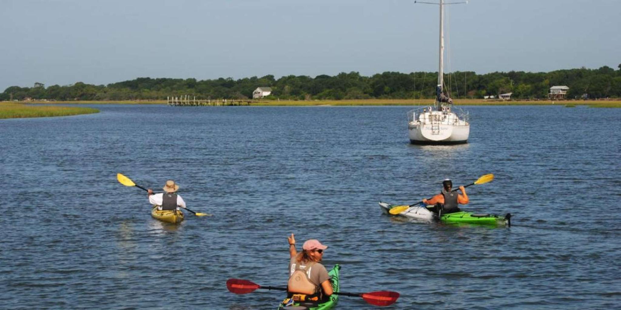 Charleston Kayak Eco Tour 2 hr - Image 5