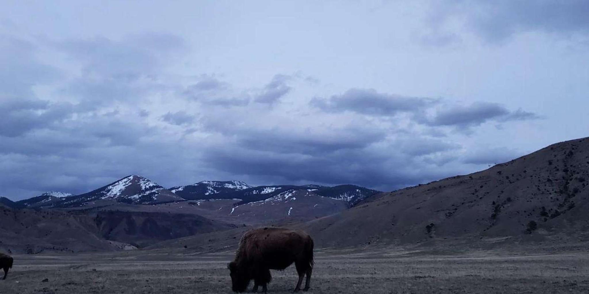 Gardiner Yellowstone National Park Guided Hike 5 hr - Image 2