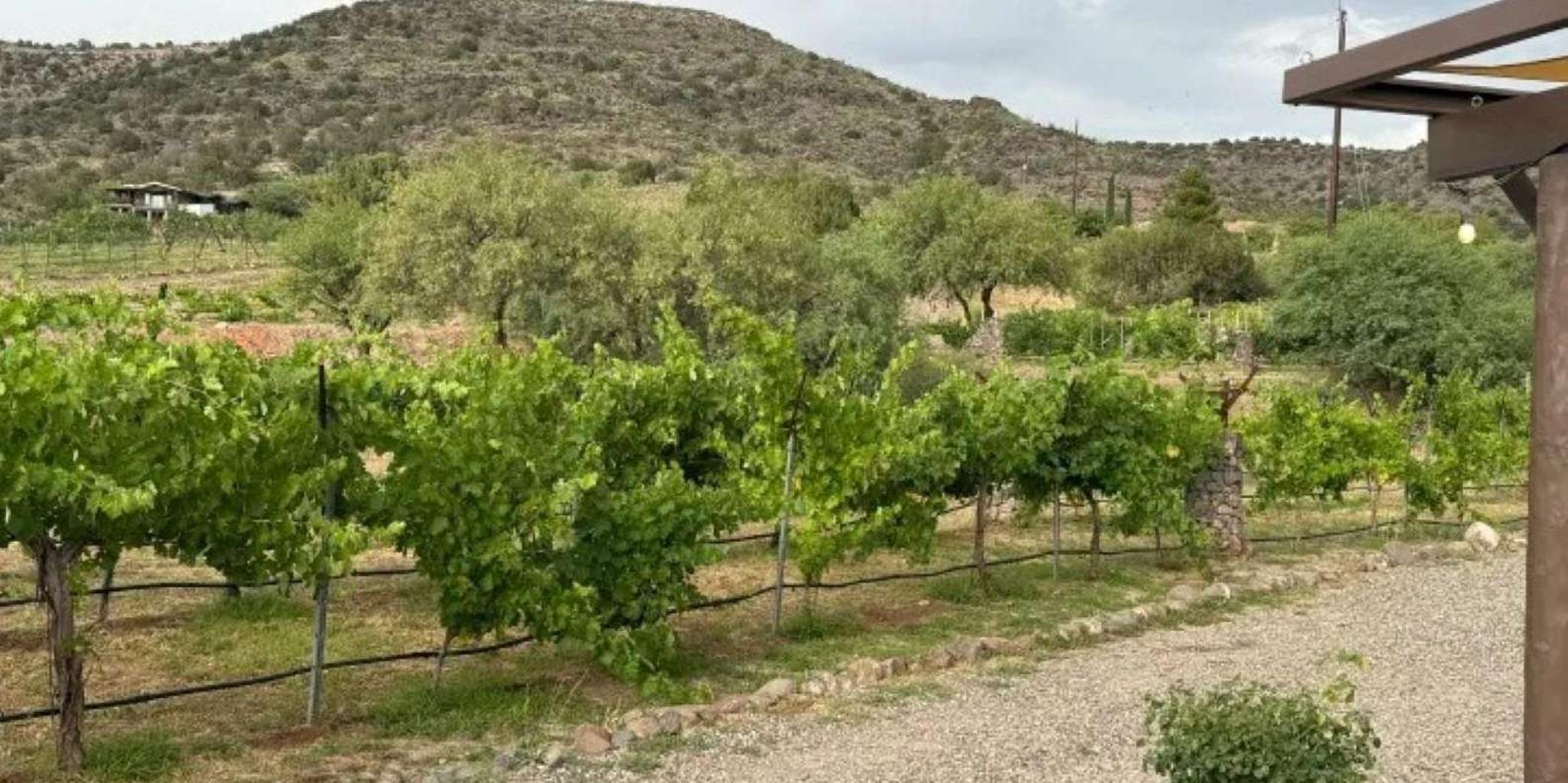 Sedona Wine Tasting Adventure 3 hr - Image 4