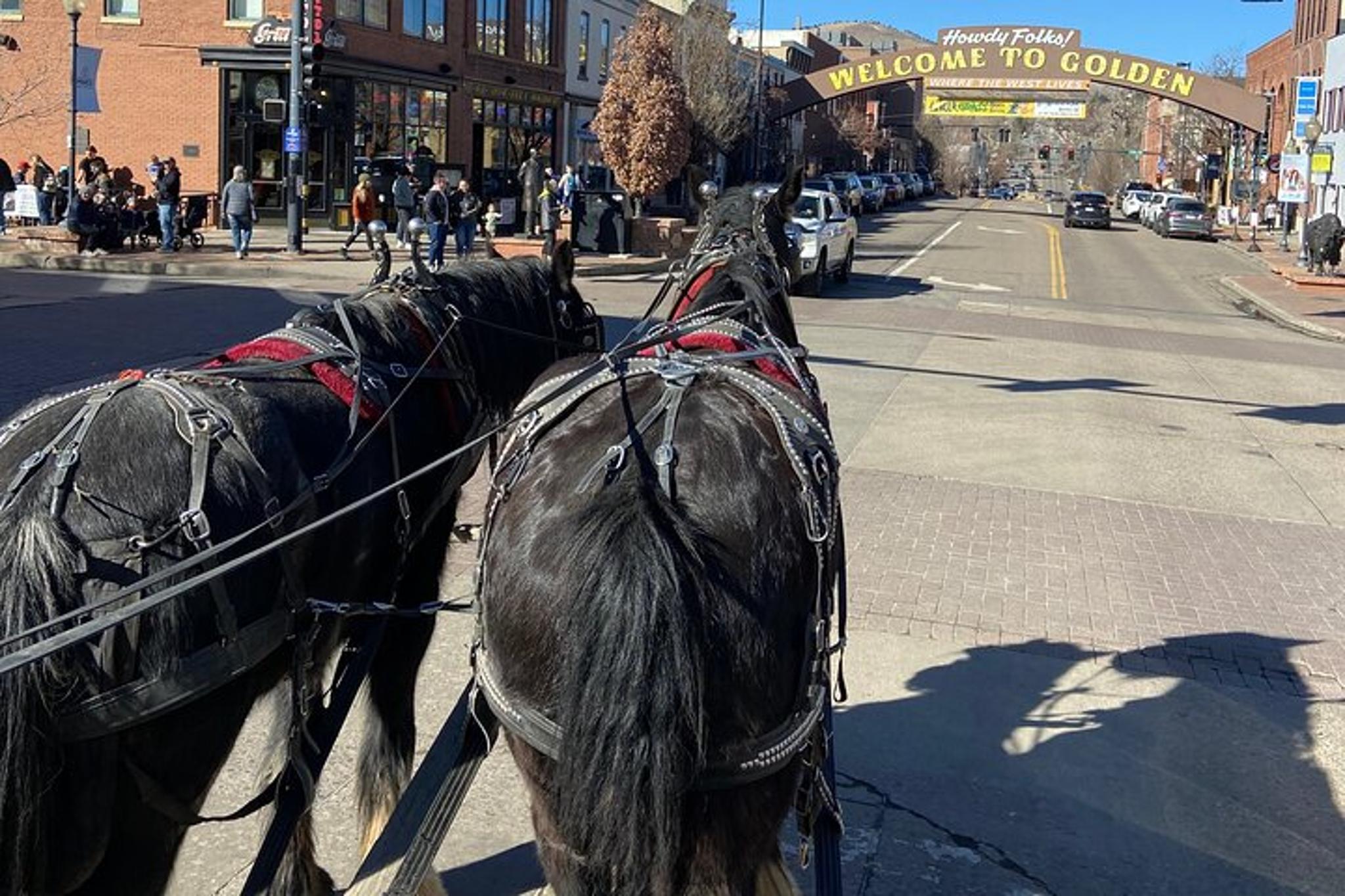 Golden Wagon Ride Tour - Image 5