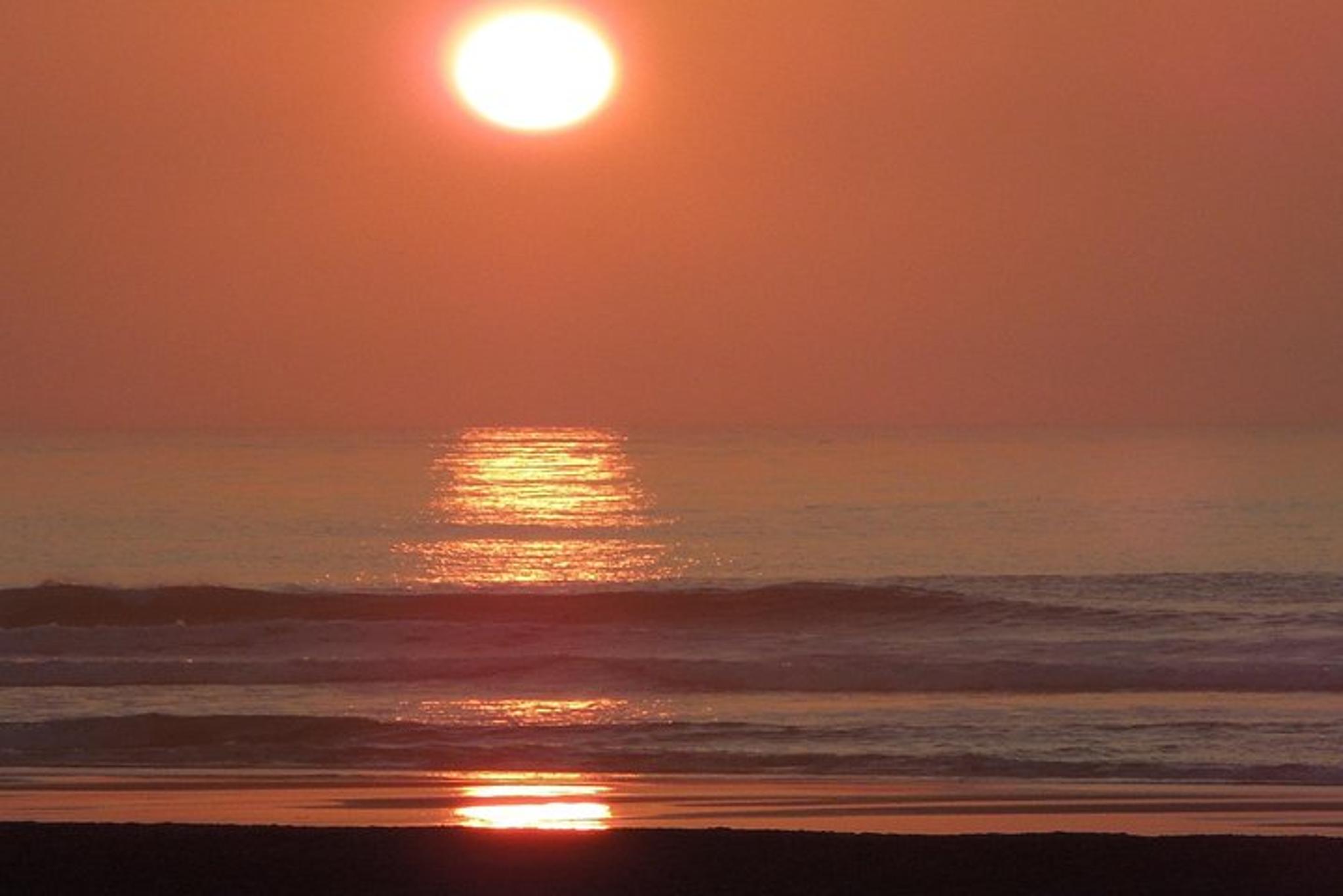 San Francisco Night Tour in SUV - Image 6