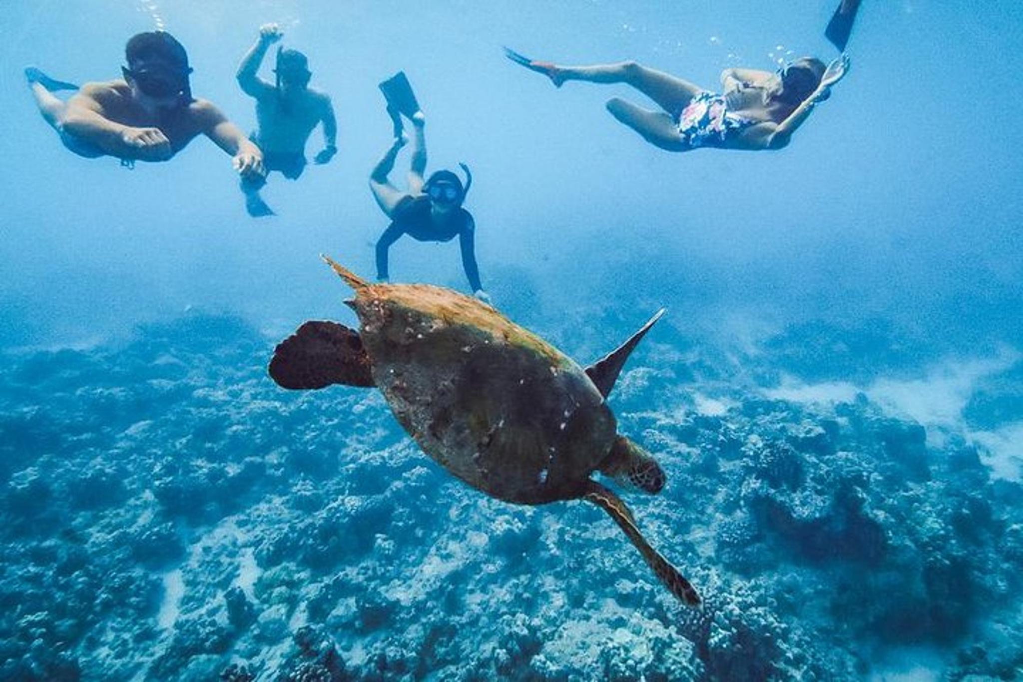 Oahu Snorkel Tour with Yacht Cruise
