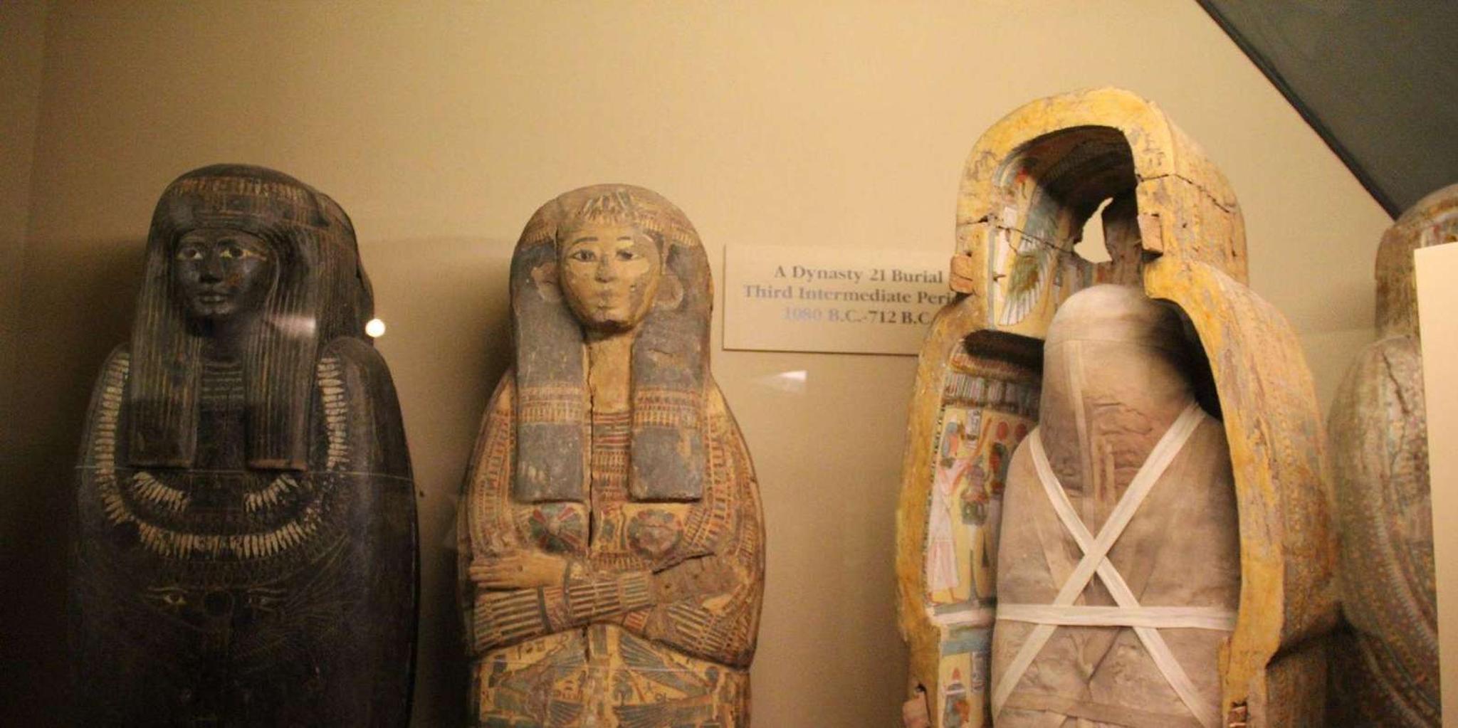 Chicago Field Museum Digital Tour - Image 4