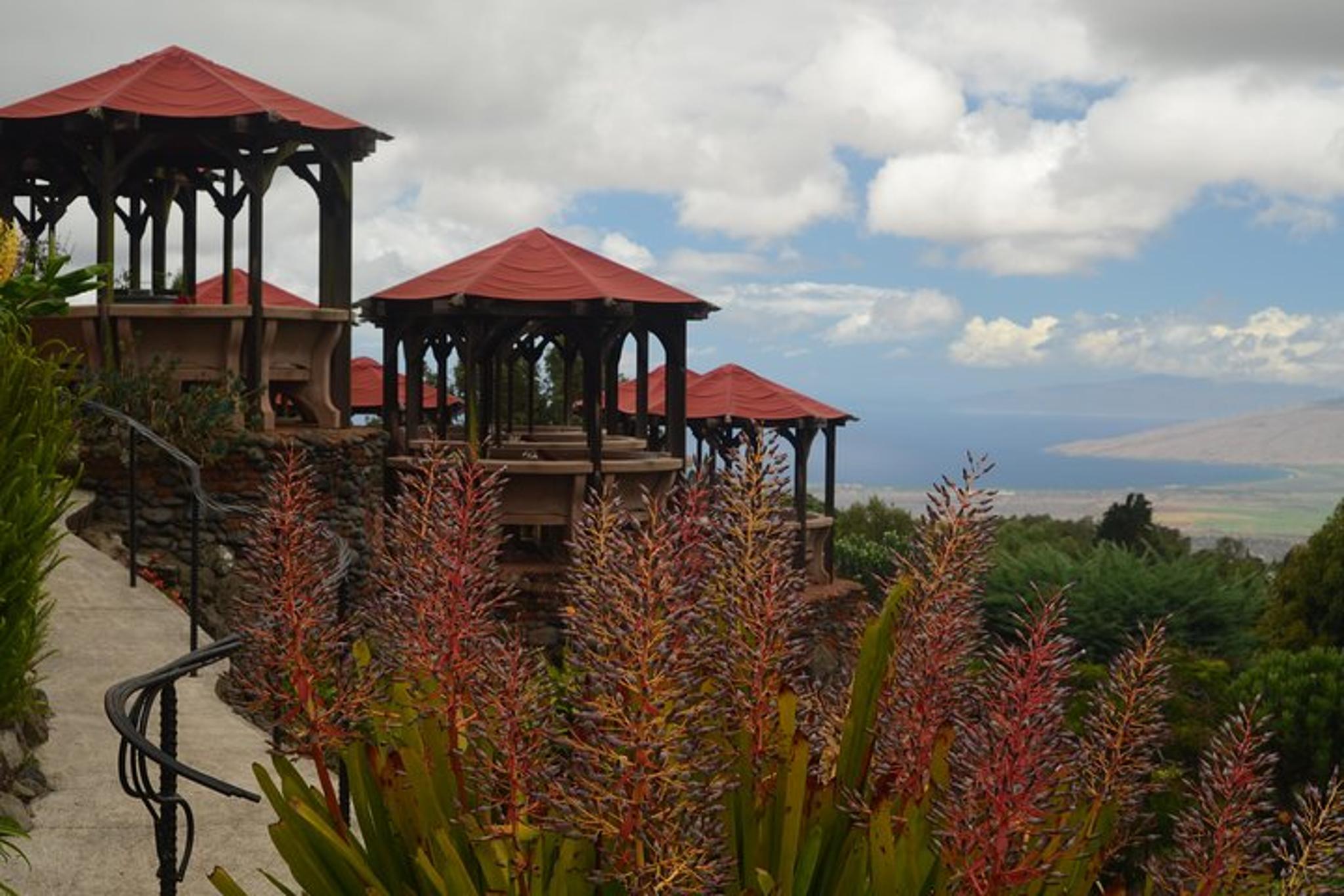 Maui Iao Valley, Distillery, and Lavender Farm Tour - Image 6