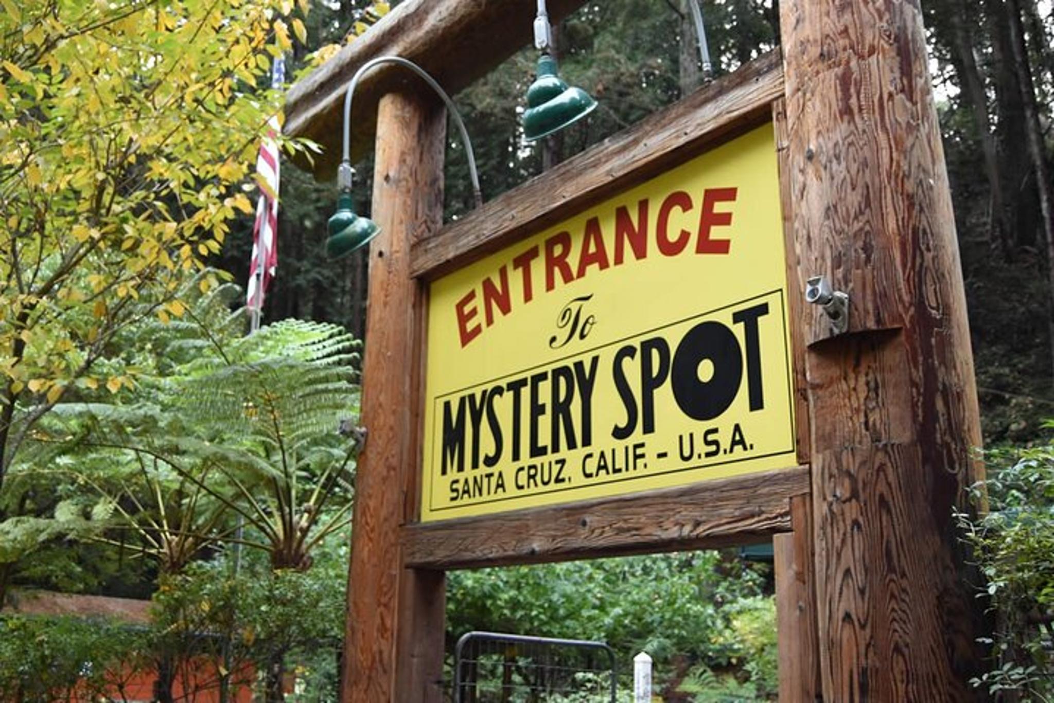 San Francisco to Los Angeles Coastal Road Trip - Image 5