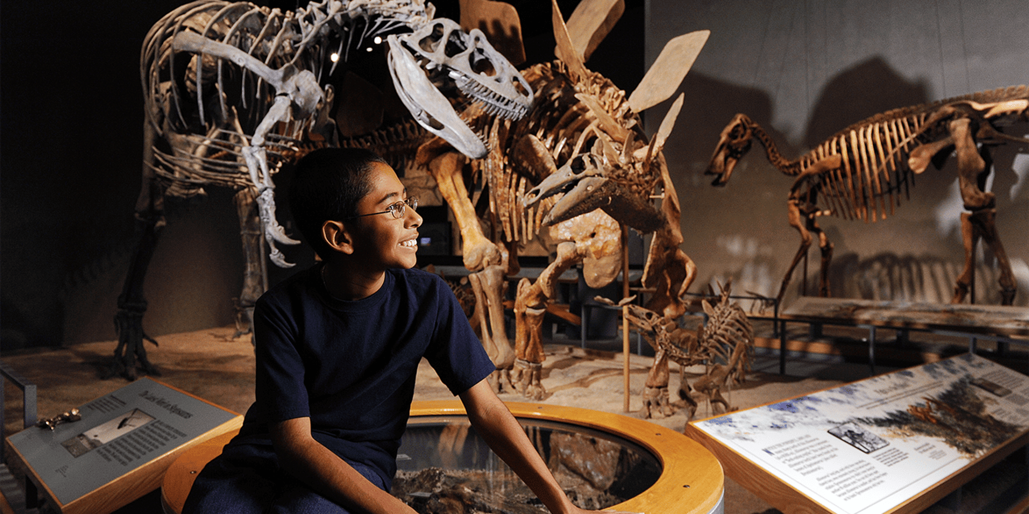 Denver Museum of Nature and Science Entry Ticket - Image 2