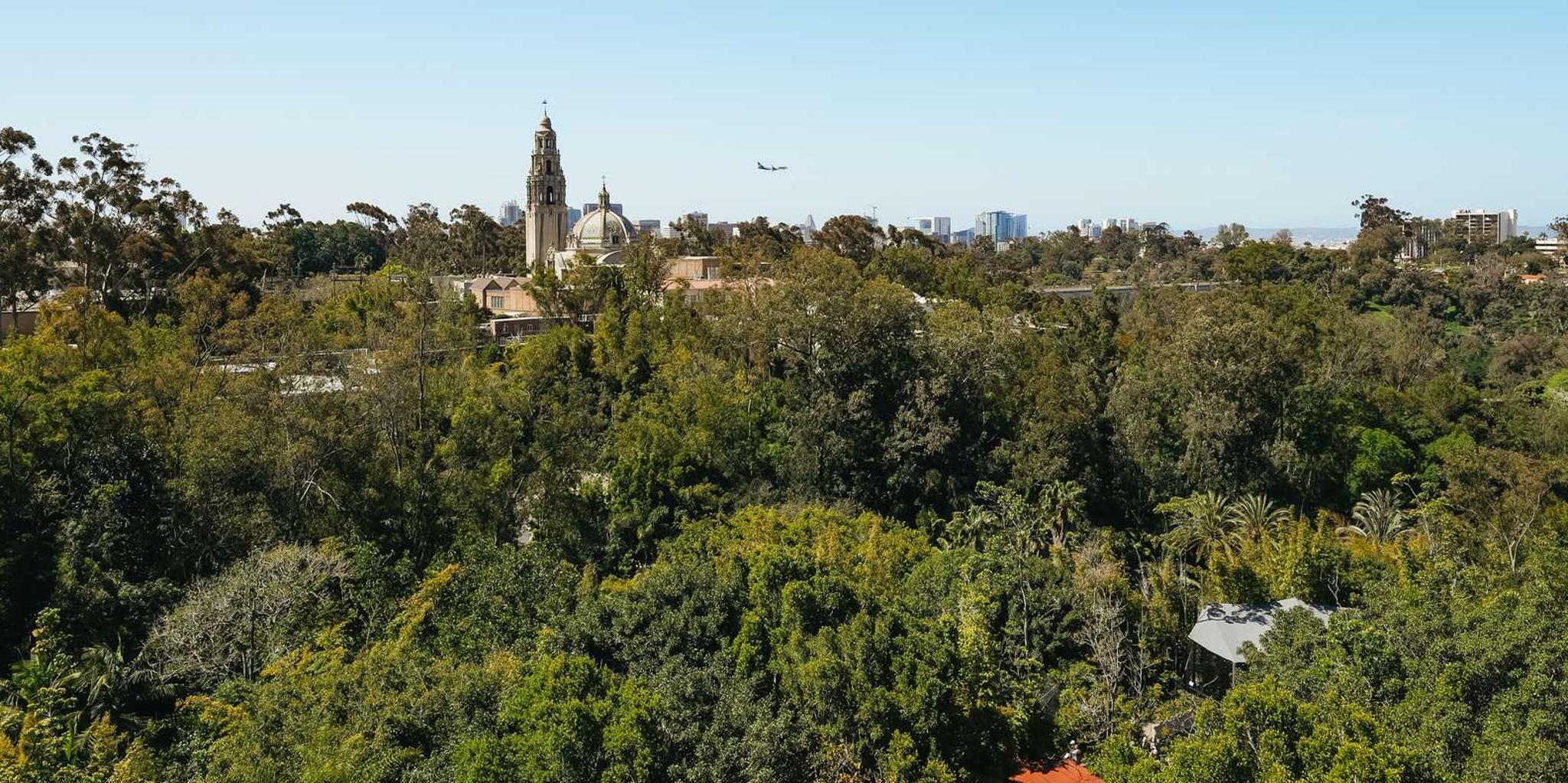 San Diego Zoo Admission Ticket - Image 2