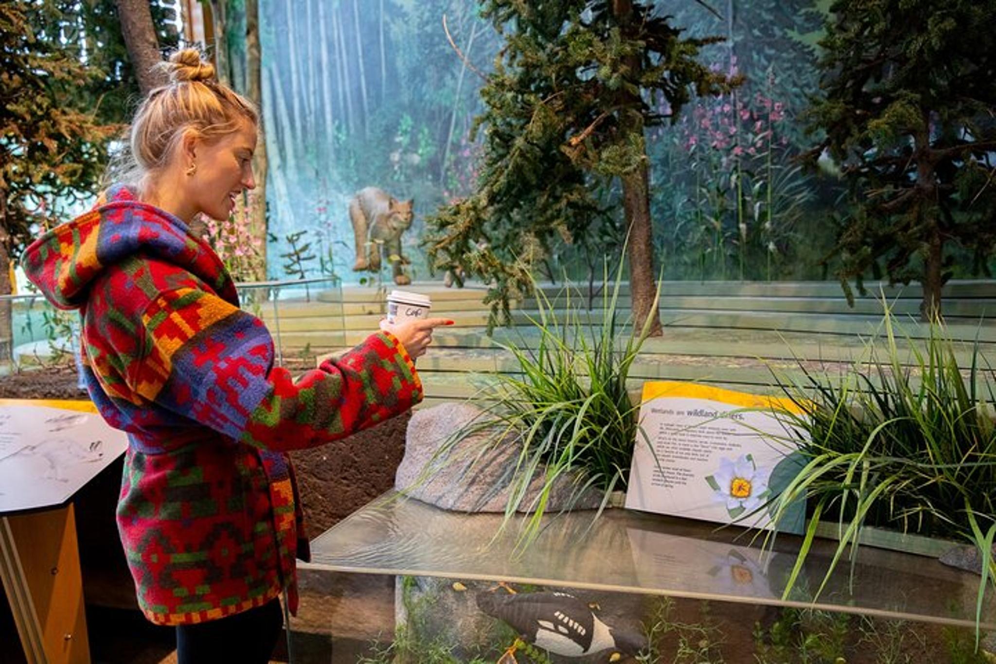 Denali Sightseeing Package - Image 3