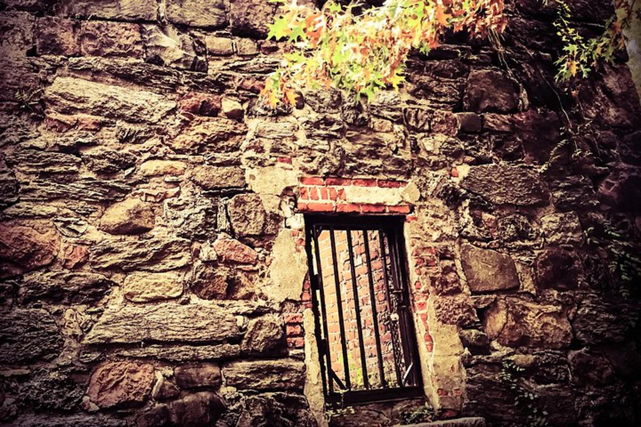 New York Central Park Secret Tour 2.5 hr - Image 5