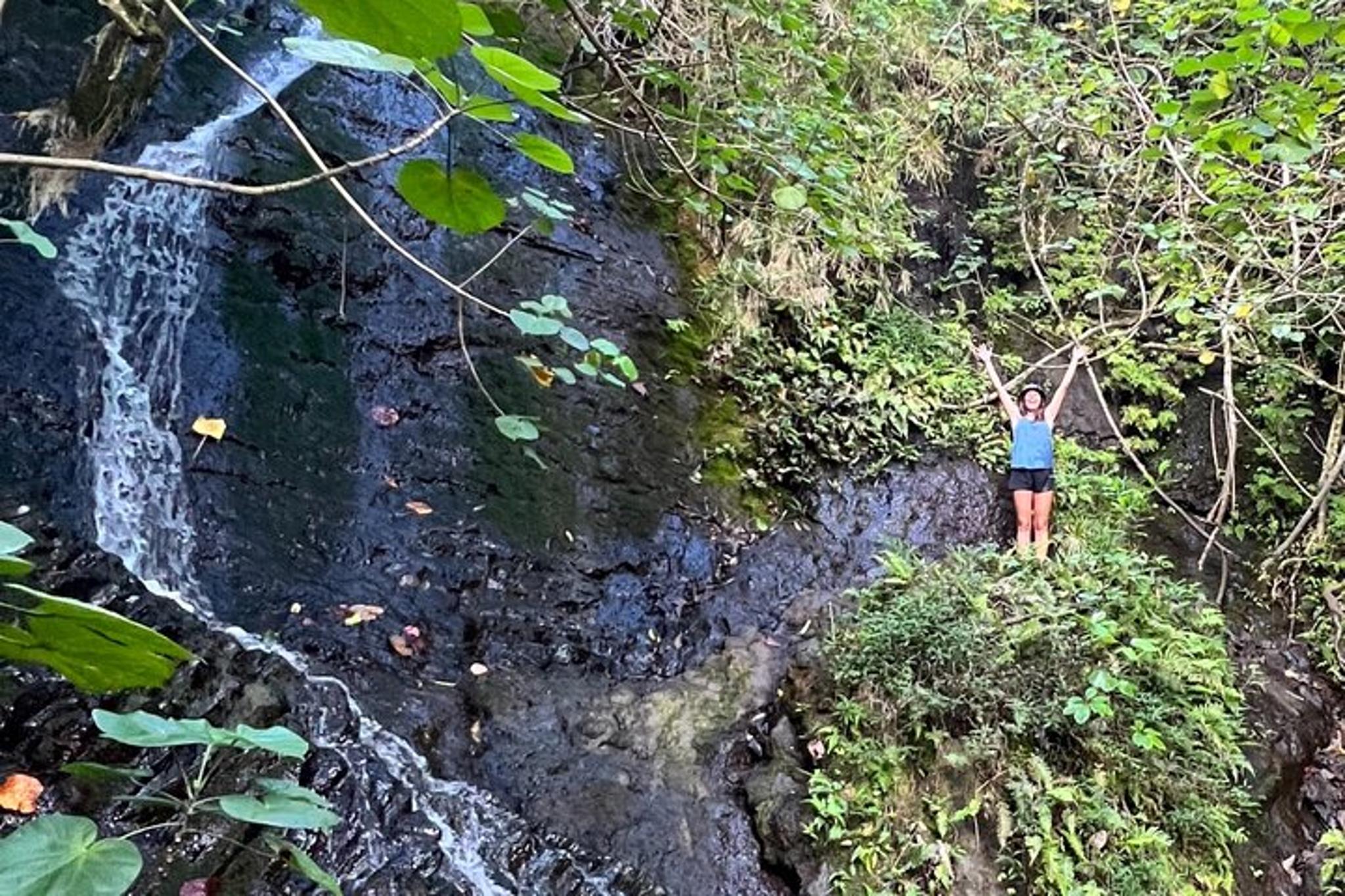 Nature Hike to Waterfall - Image 4