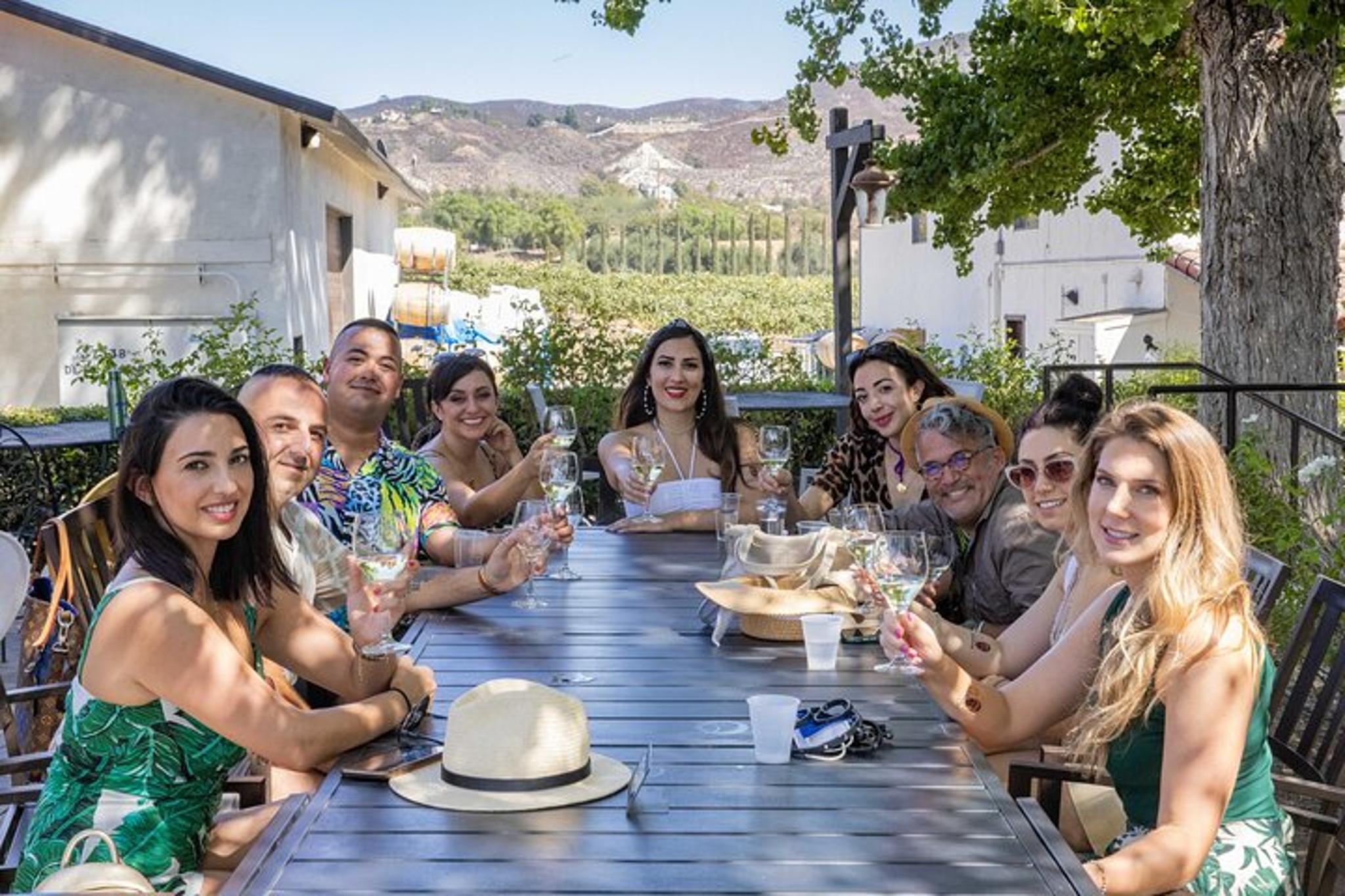 Temecula Cable Car Wine Tour - Image 2