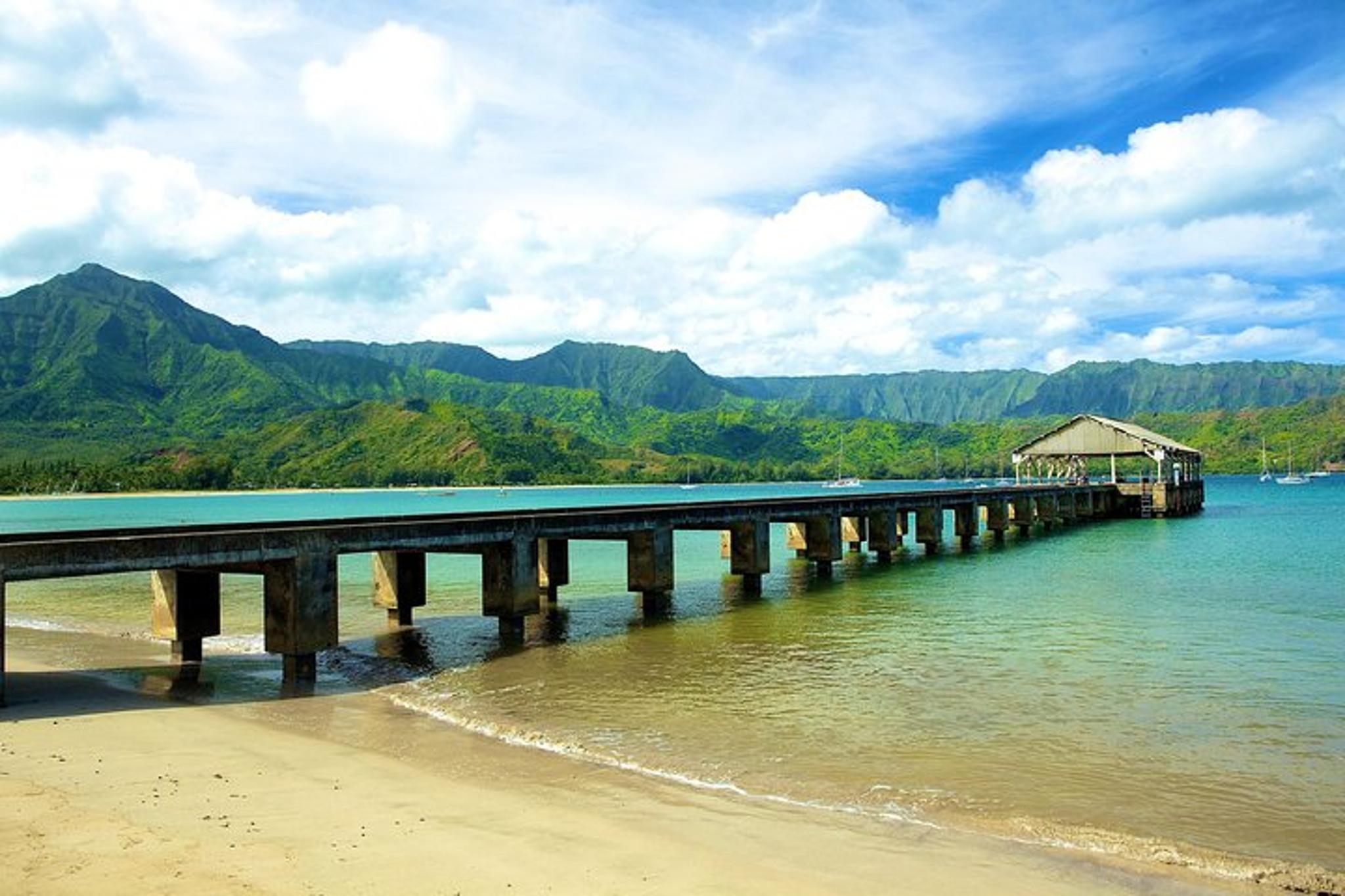 Kauai Private Tour of North & East Shores - Image 3