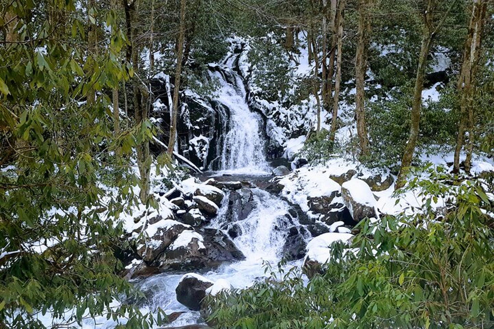 Smokies Custom Private Tour - Image 4