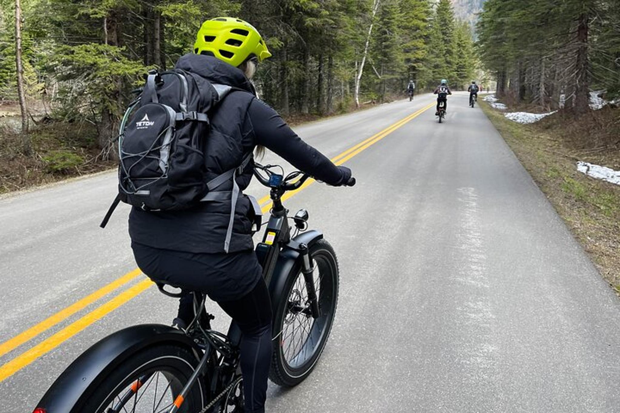 Whitefish E-Bike Rental in Flathead Valley - Image 2