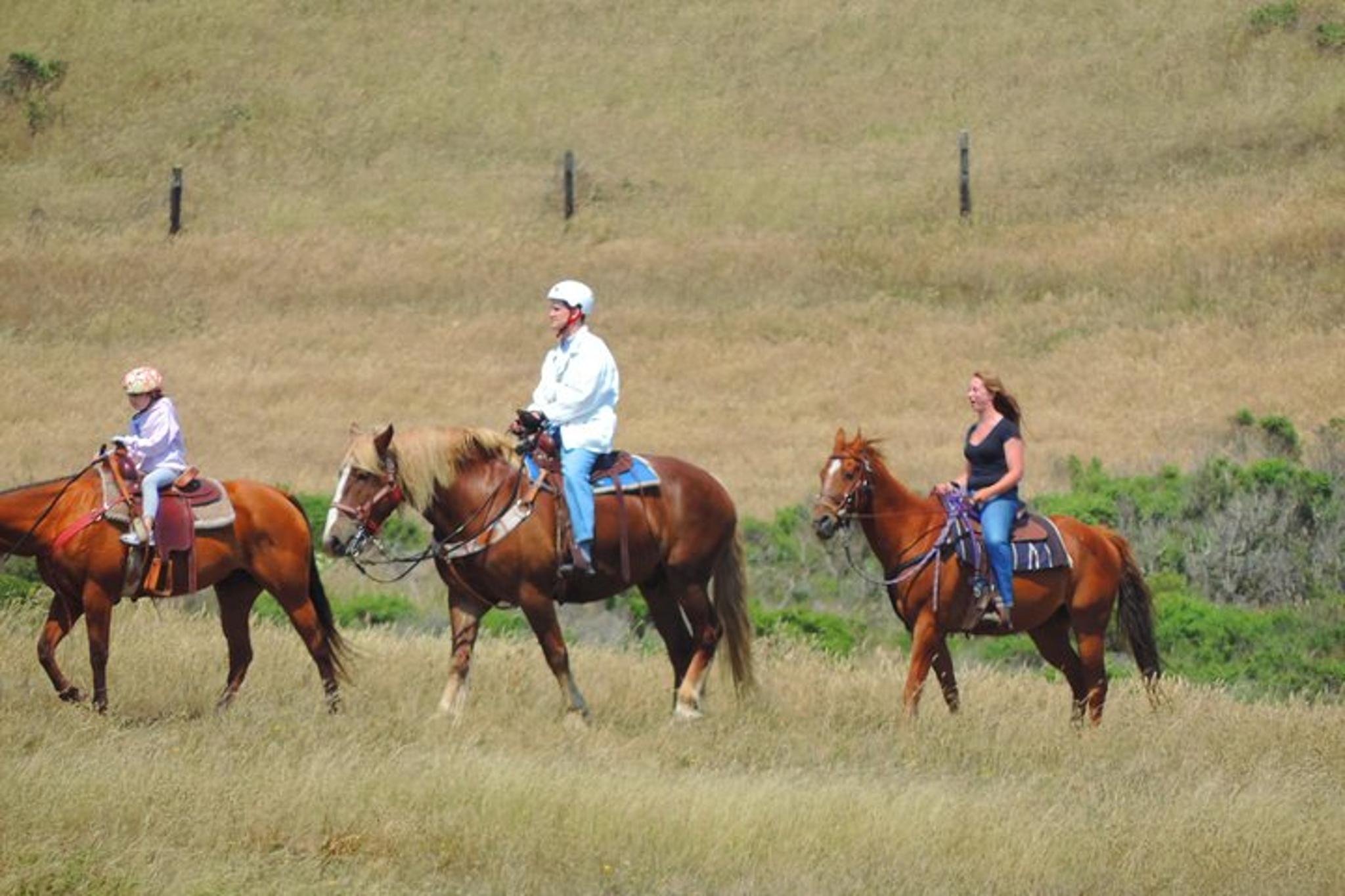 San Francisco Horseback Riding and Muir Woods Adventure - Image 2