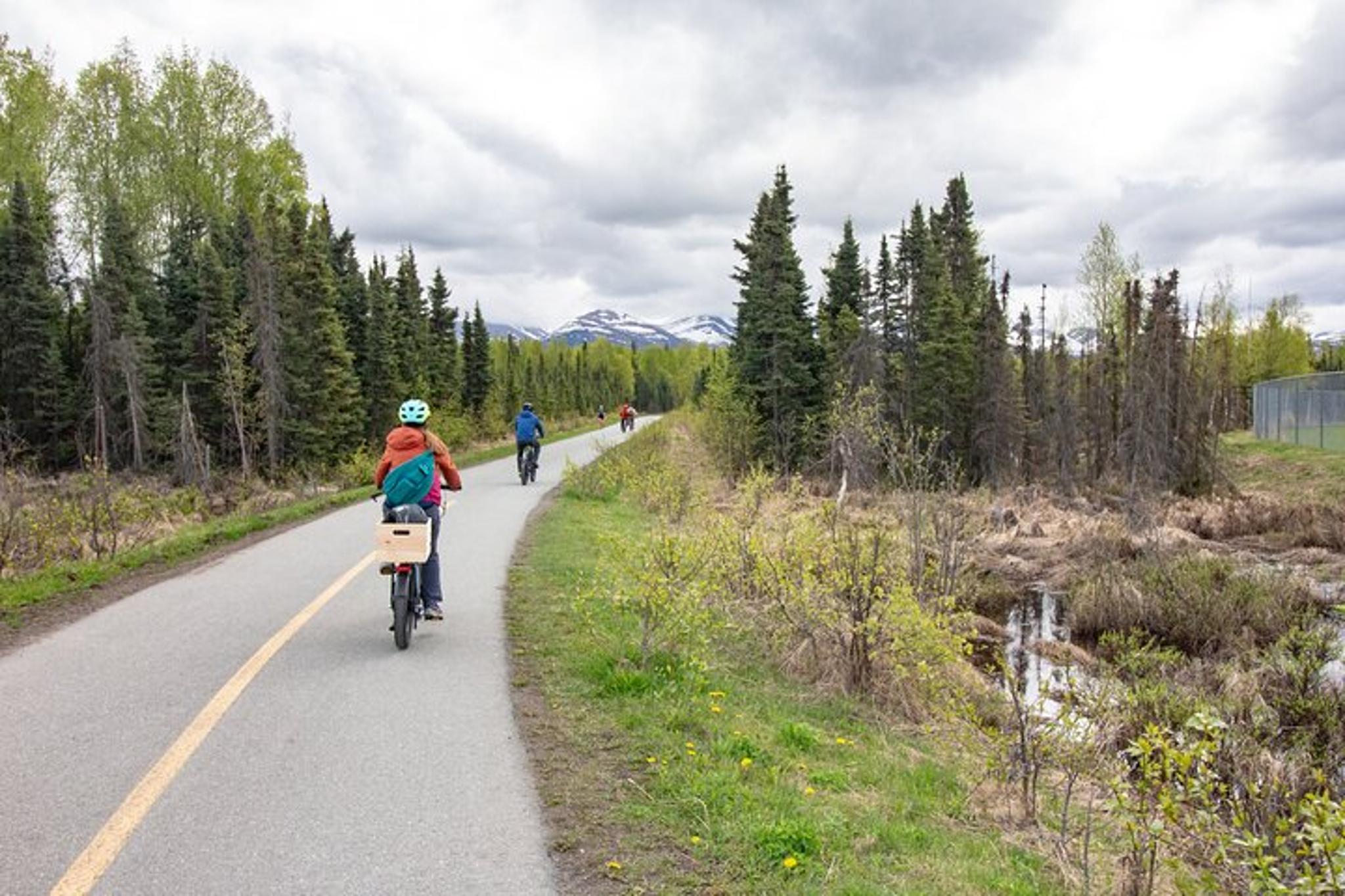 Anchorage eBike History Tour - Image 4